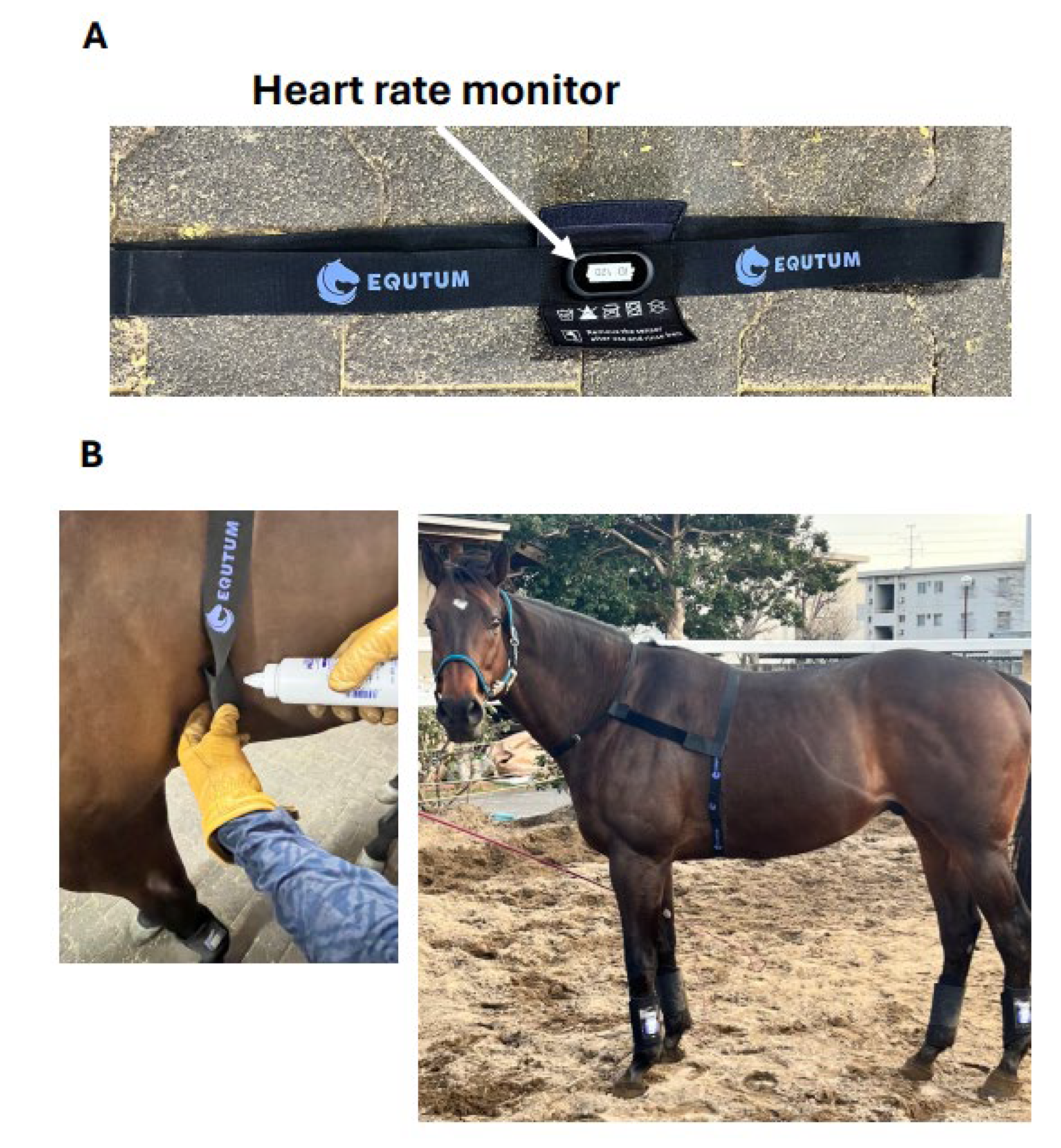 Preprints 108542 g002