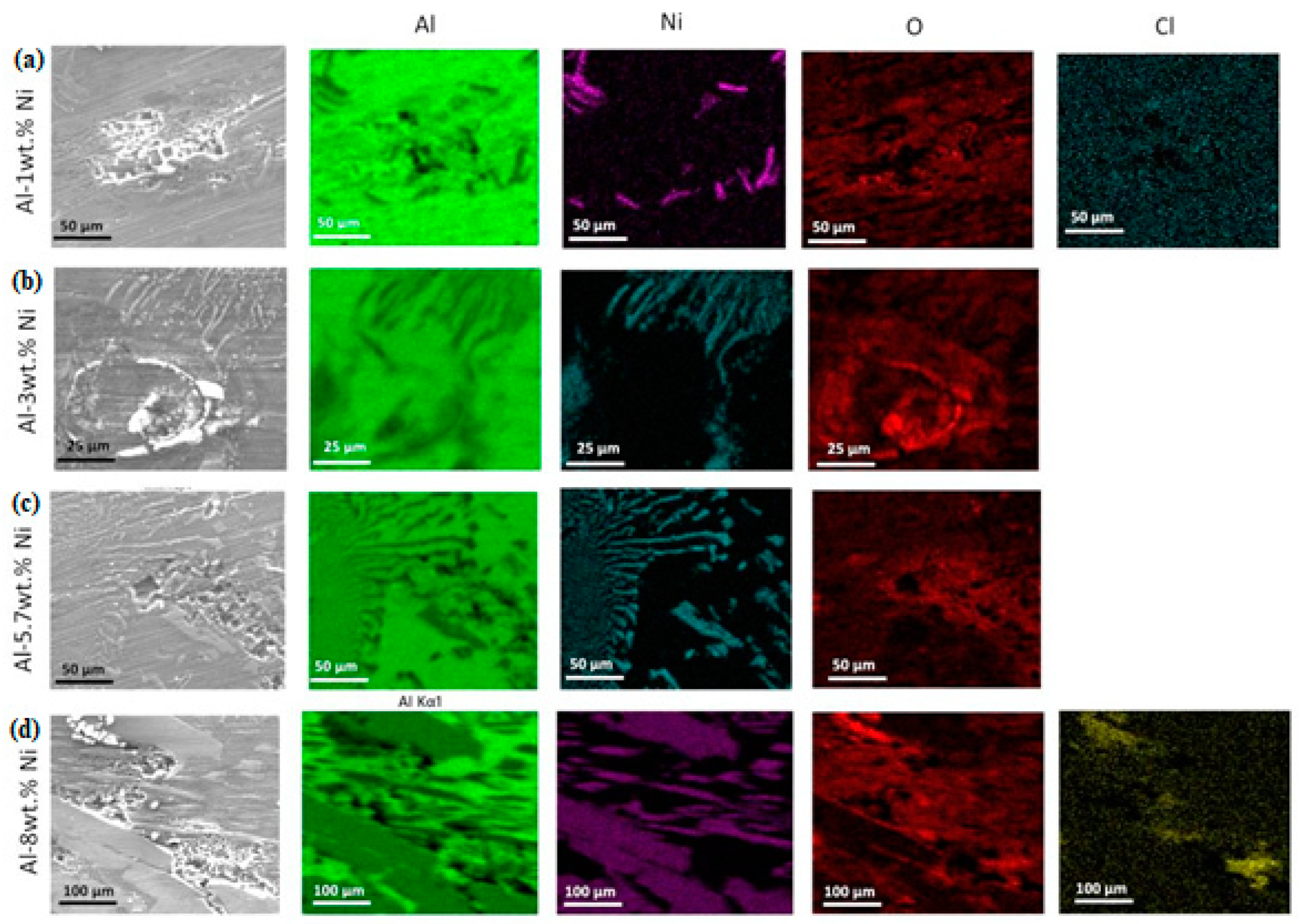 Preprints 92723 g013