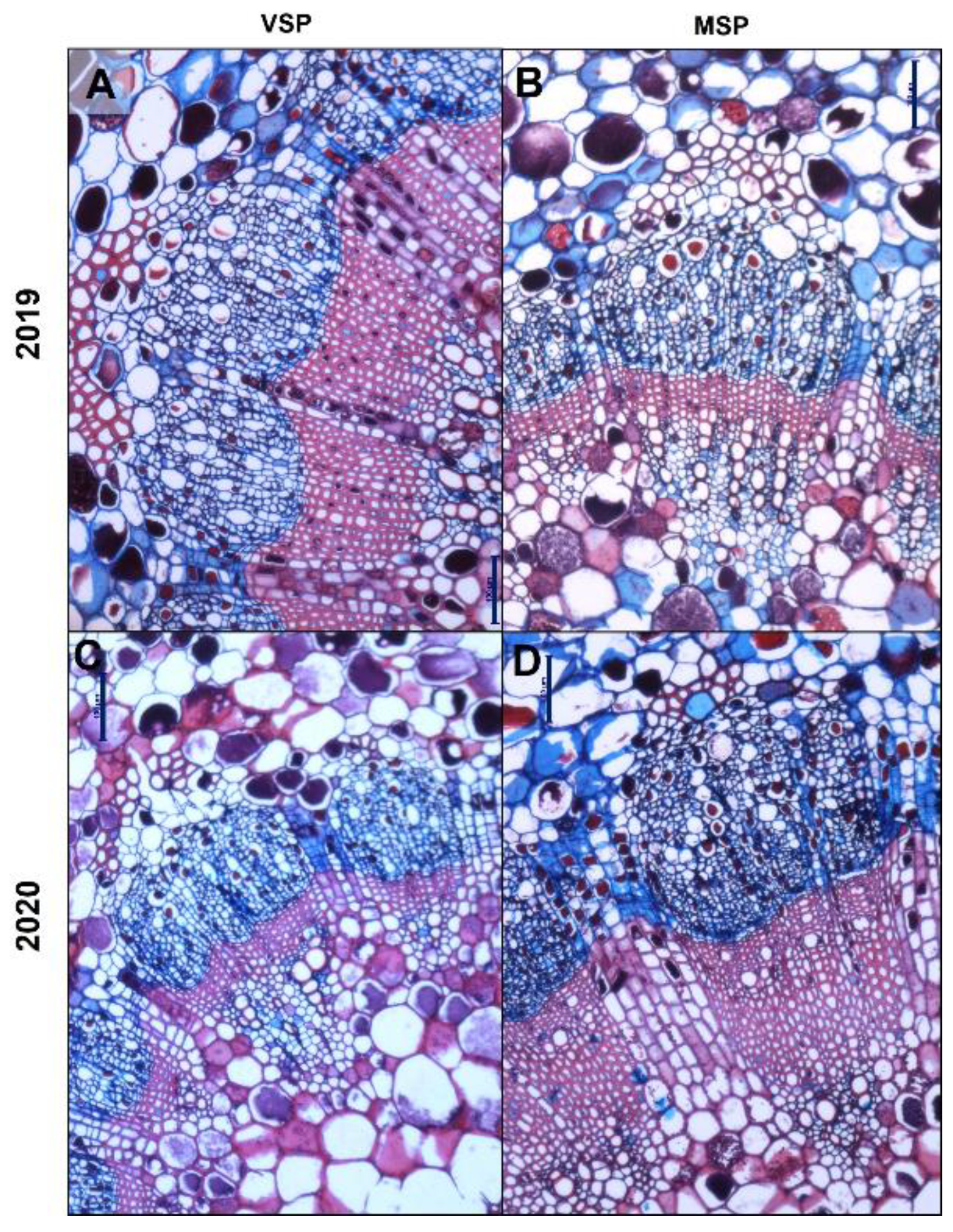 Preprints 105953 g002