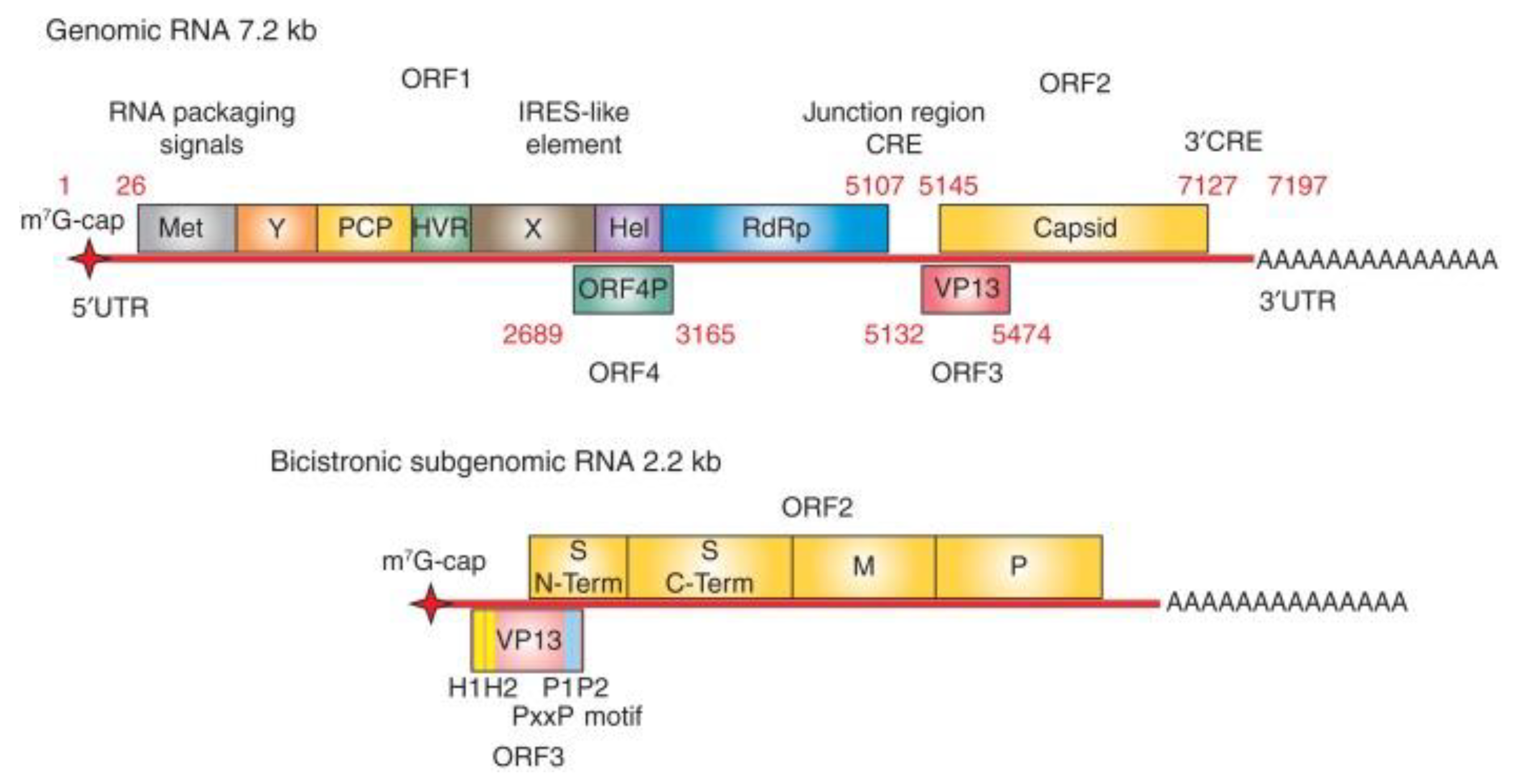 Preprints 75530 g003