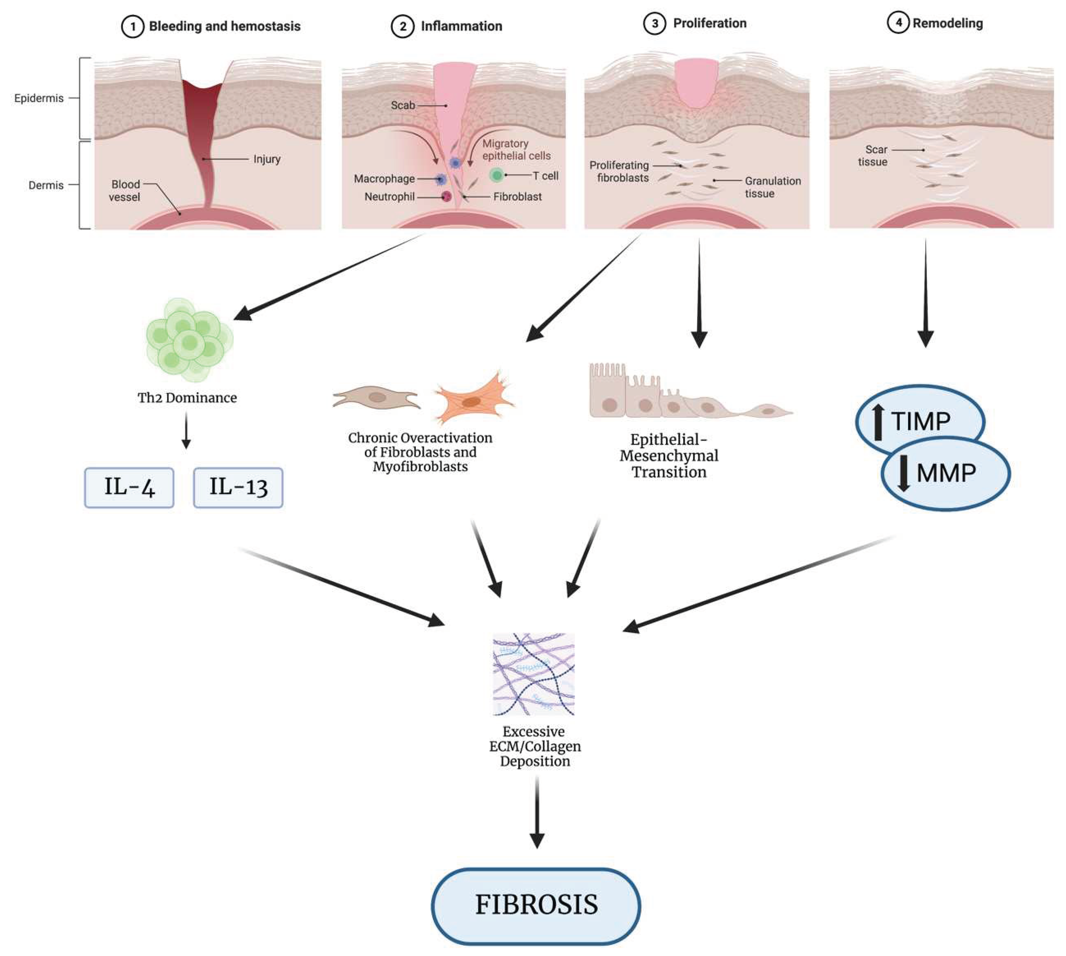 Preprints 77972 g001