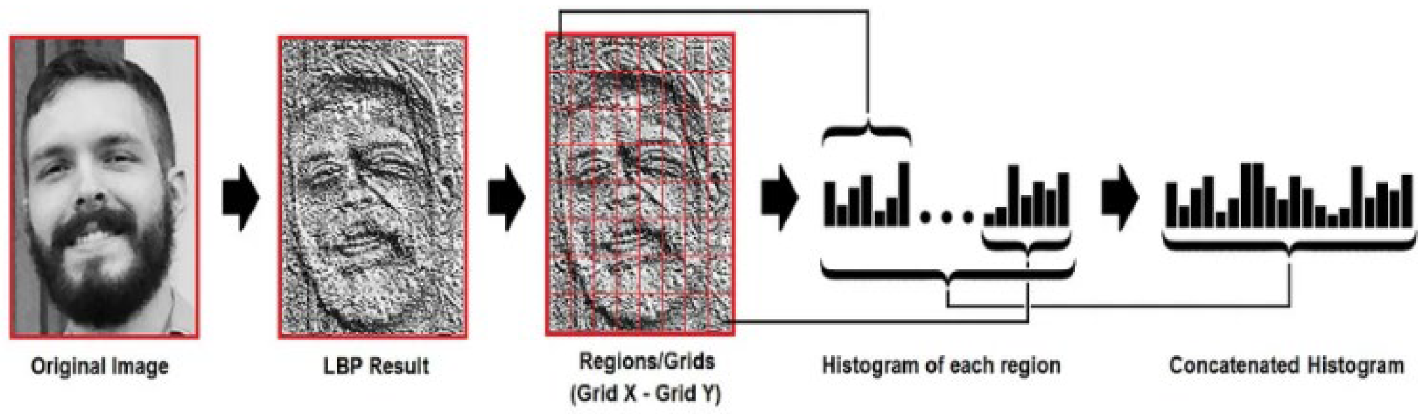 Preprints 115613 g006