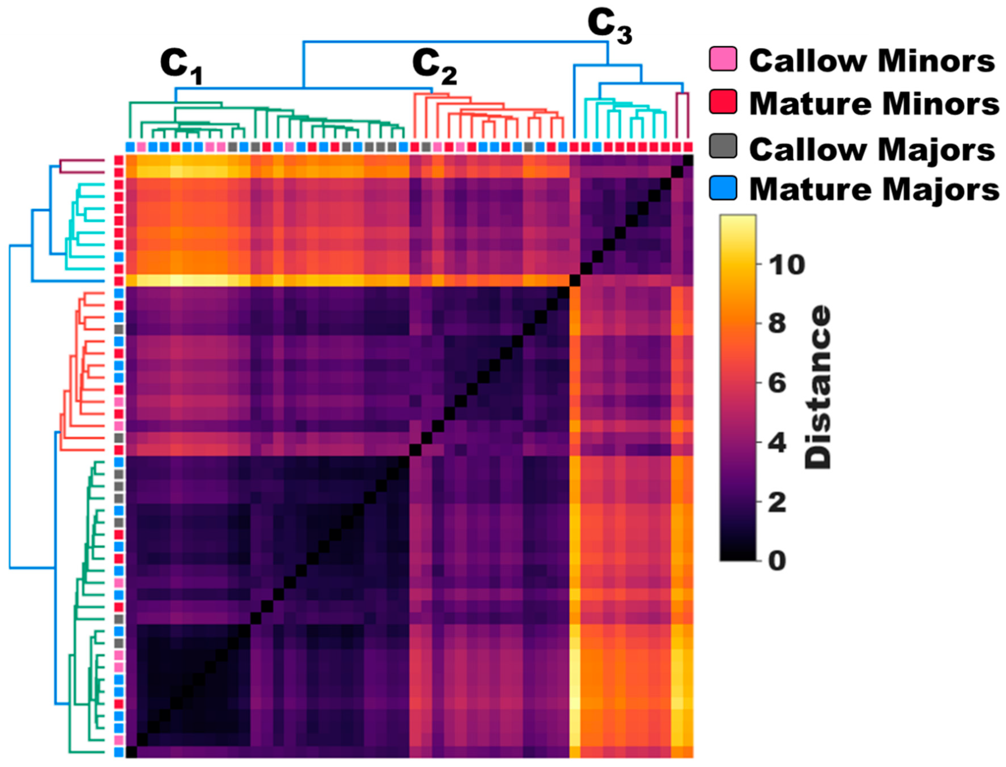 Preprints 79890 g001