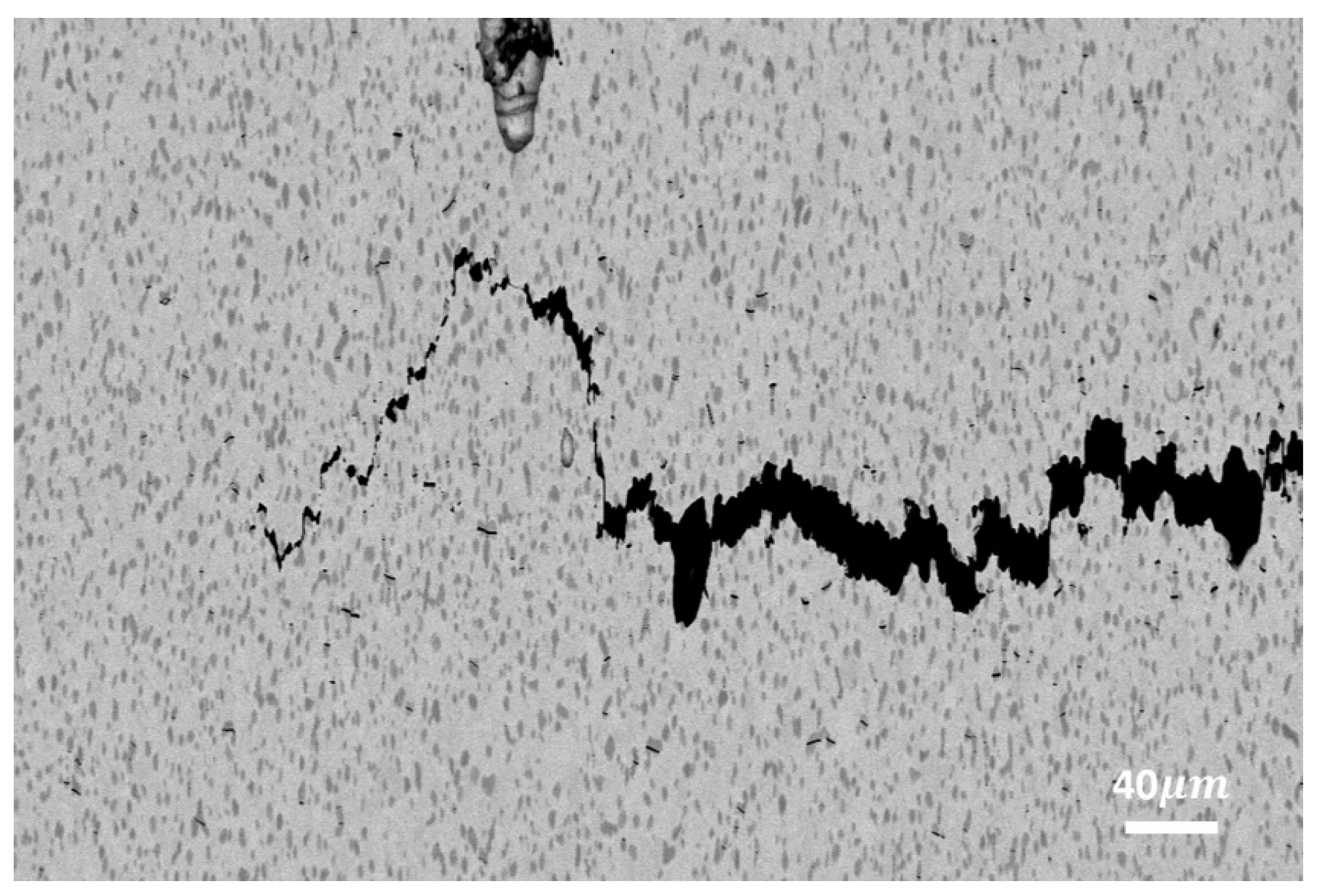 Preprints 114459 g007