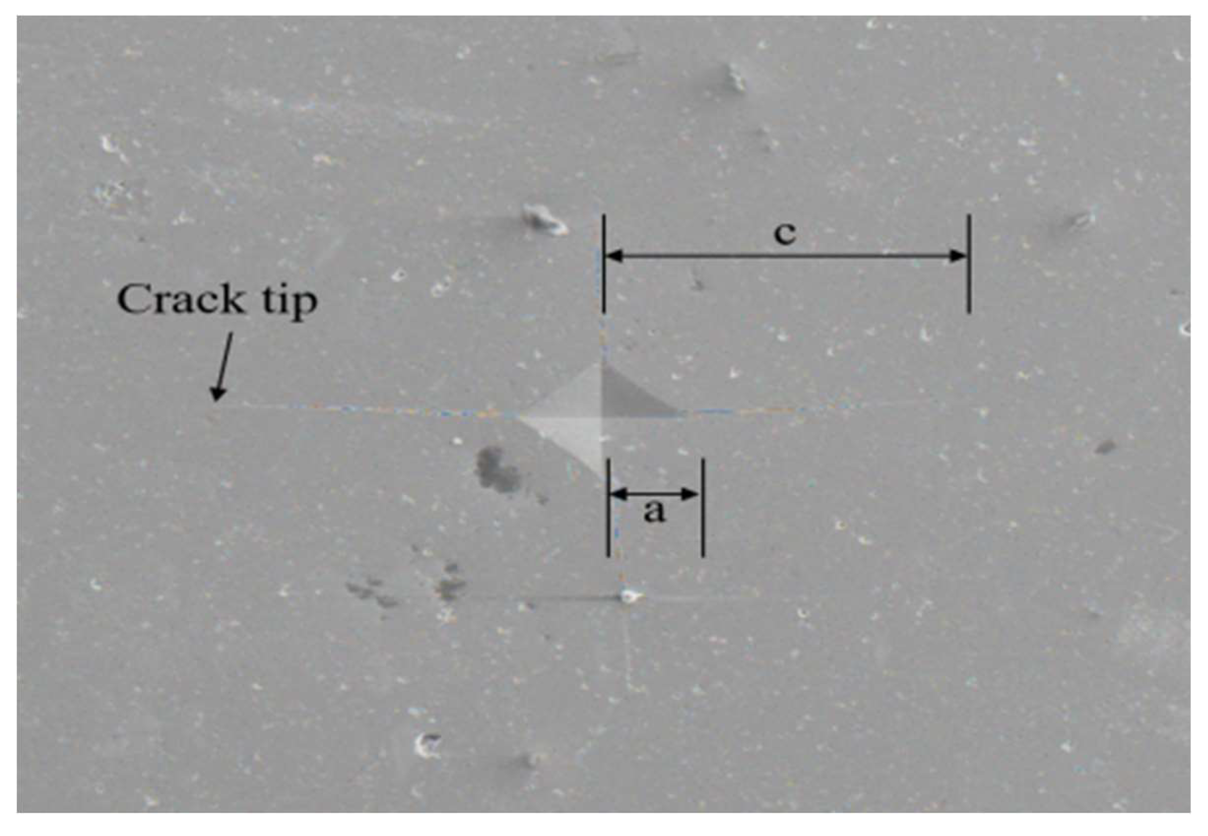 Preprints 70884 g001