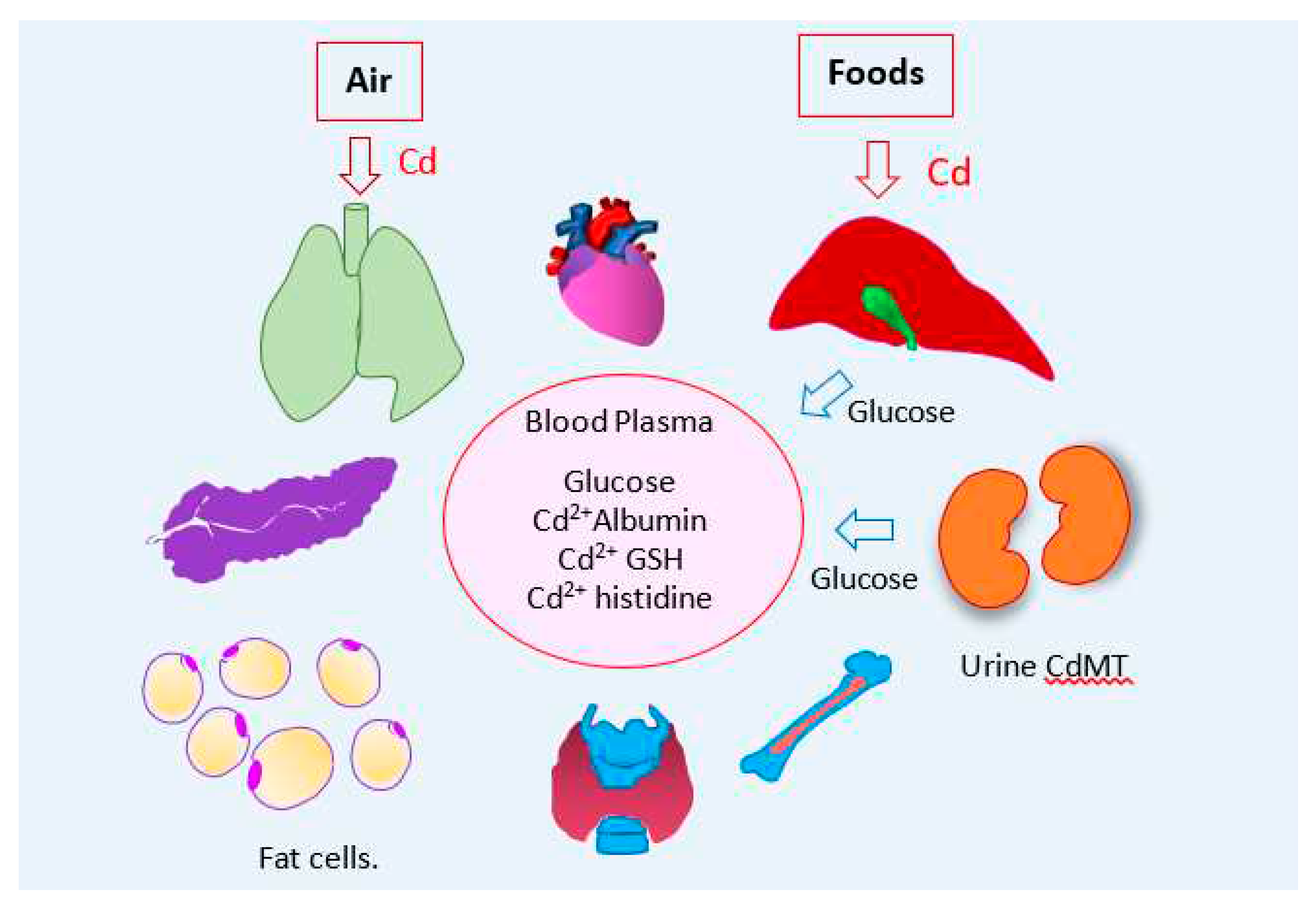 Preprints 91657 g003