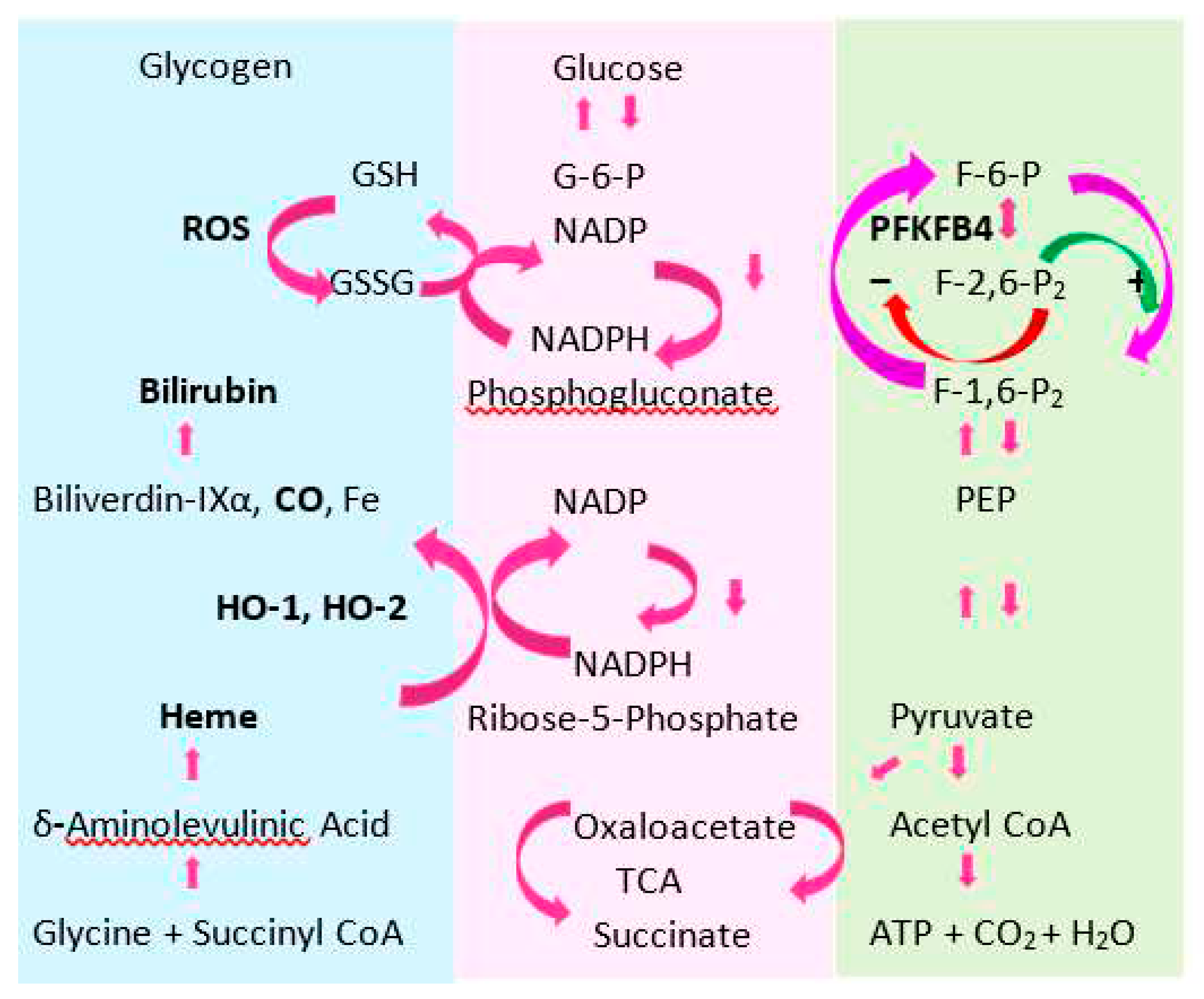 Preprints 91657 g004