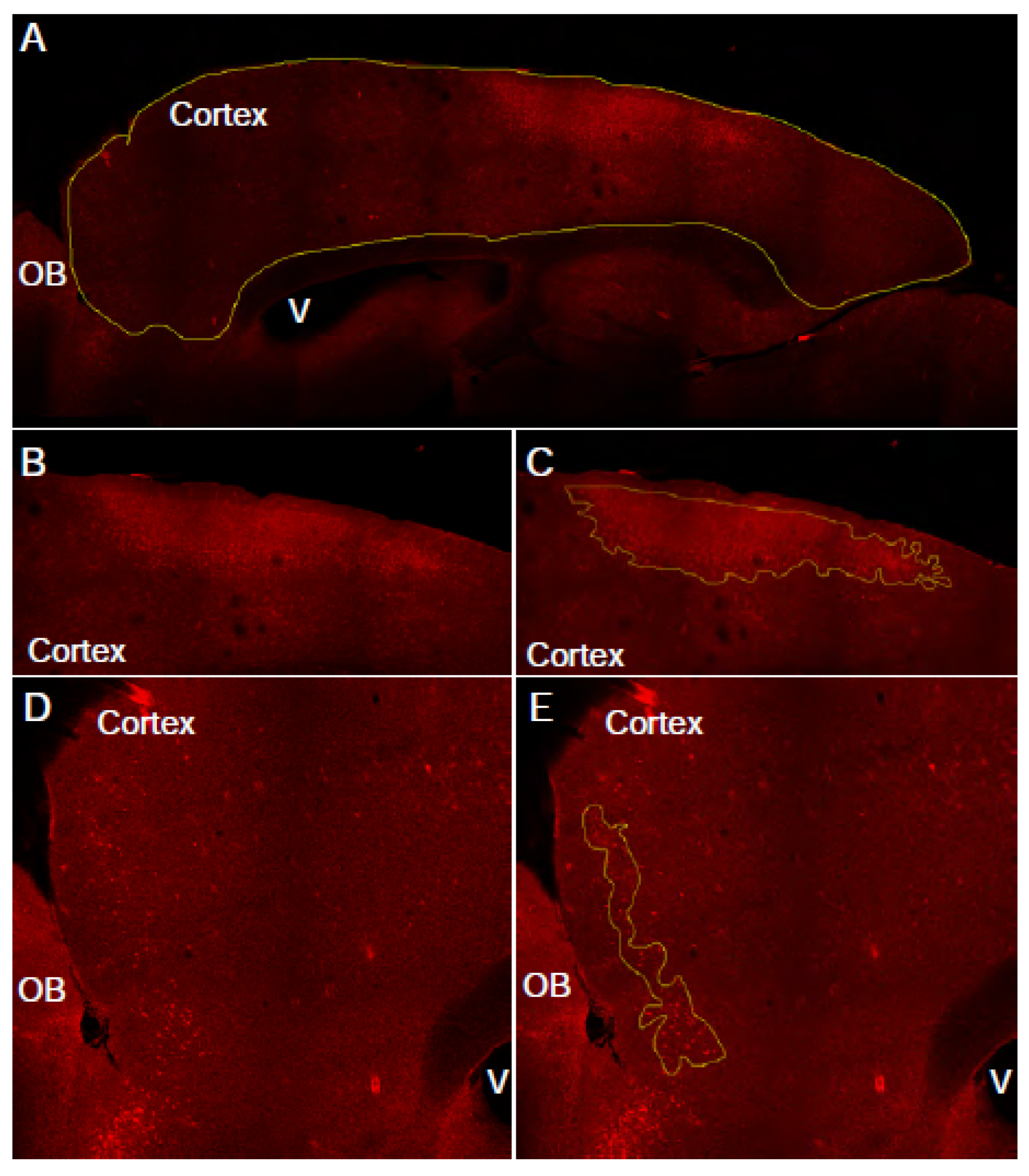 Preprints 117193 g002