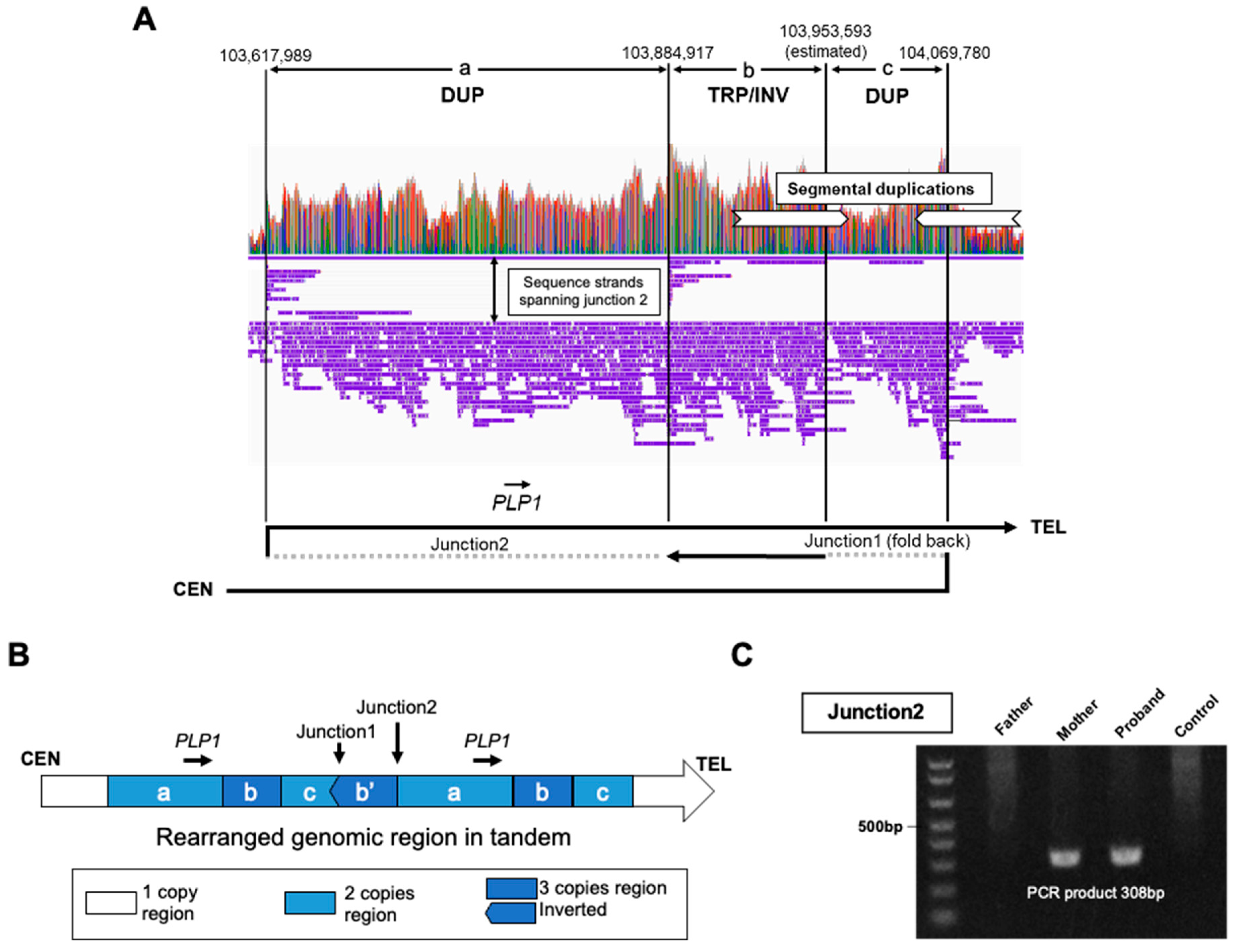 Preprints 95431 g001