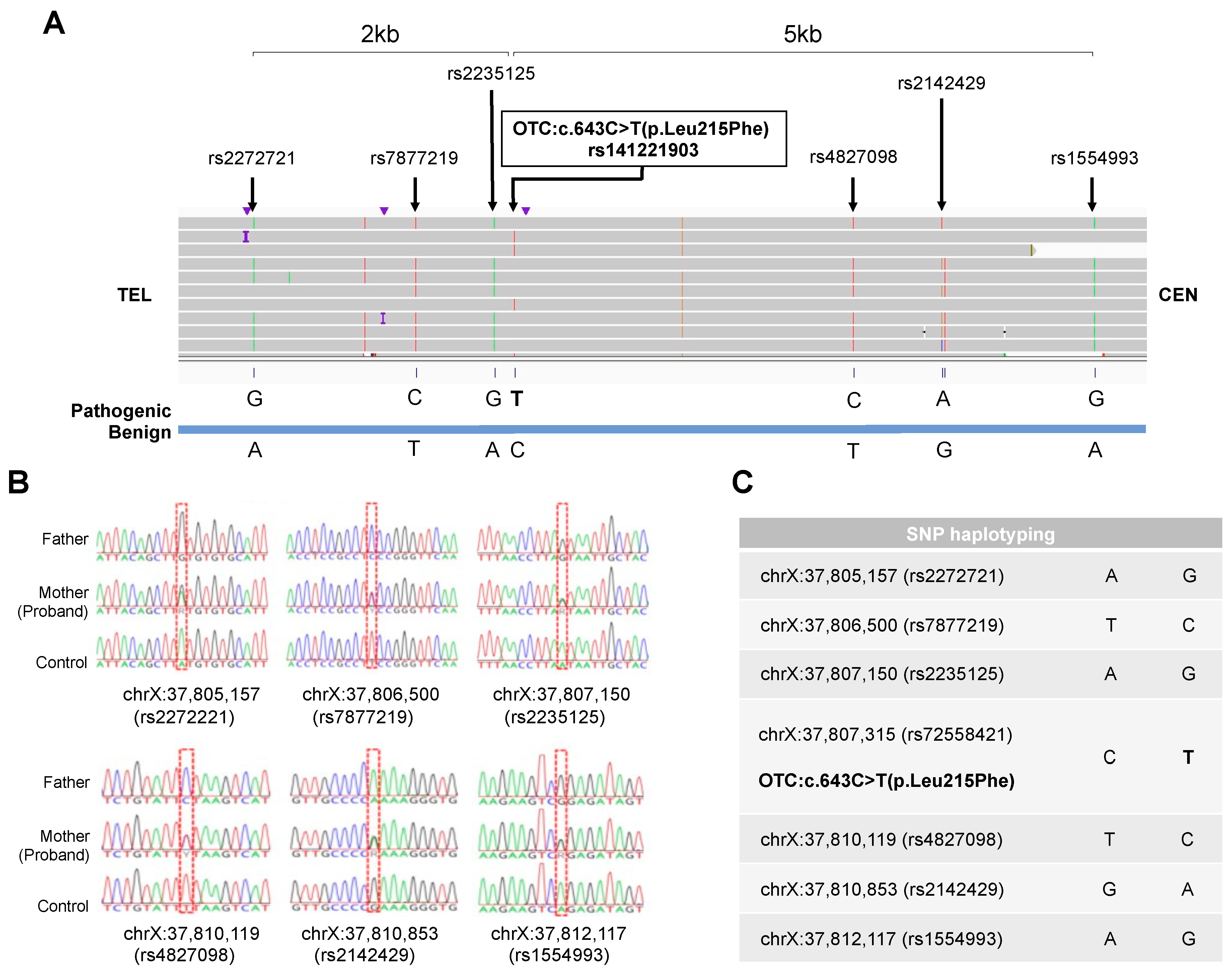 Preprints 95431 g002