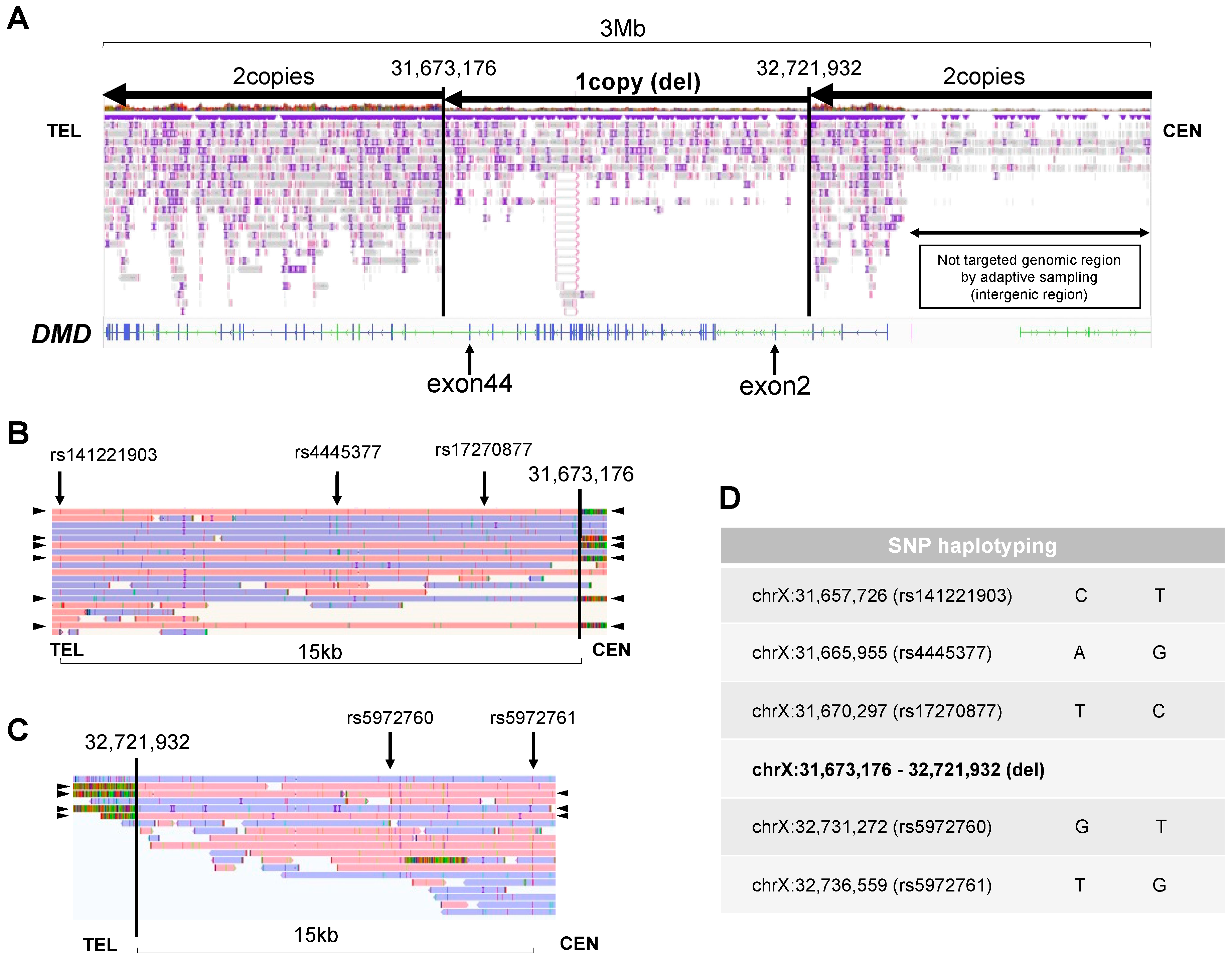 Preprints 95431 g003