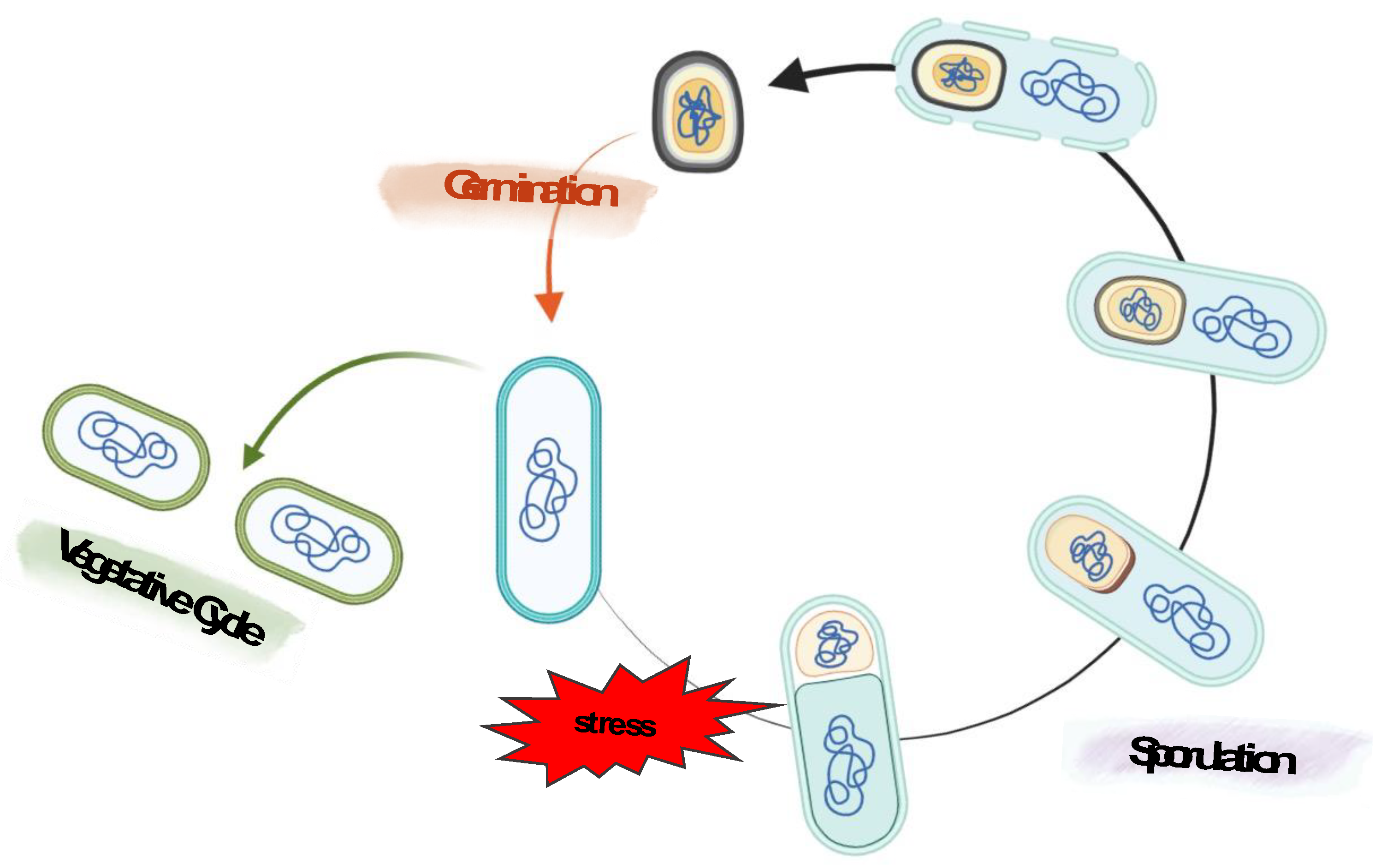 Preprints 72071 g003