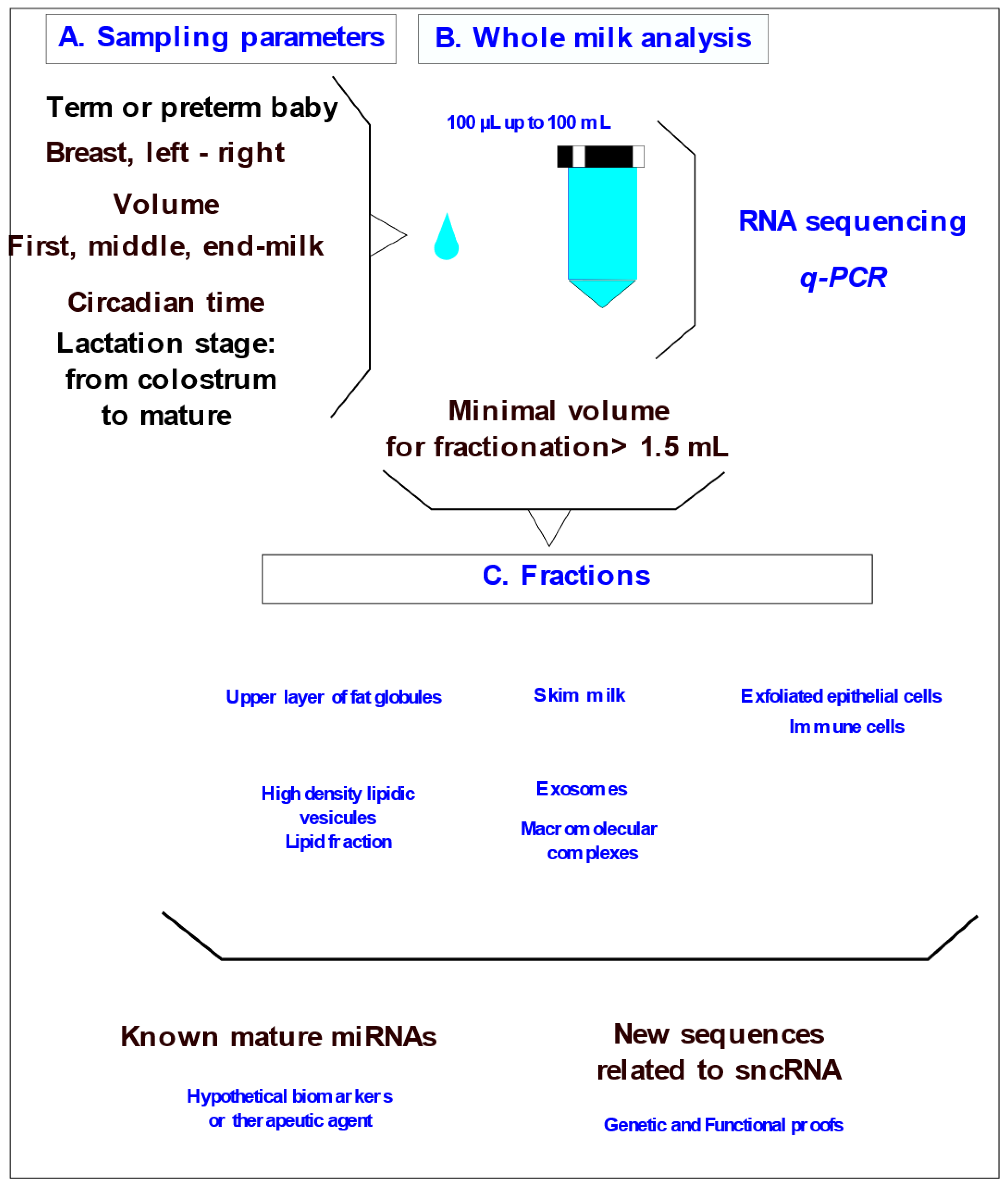 Preprints 87028 g001