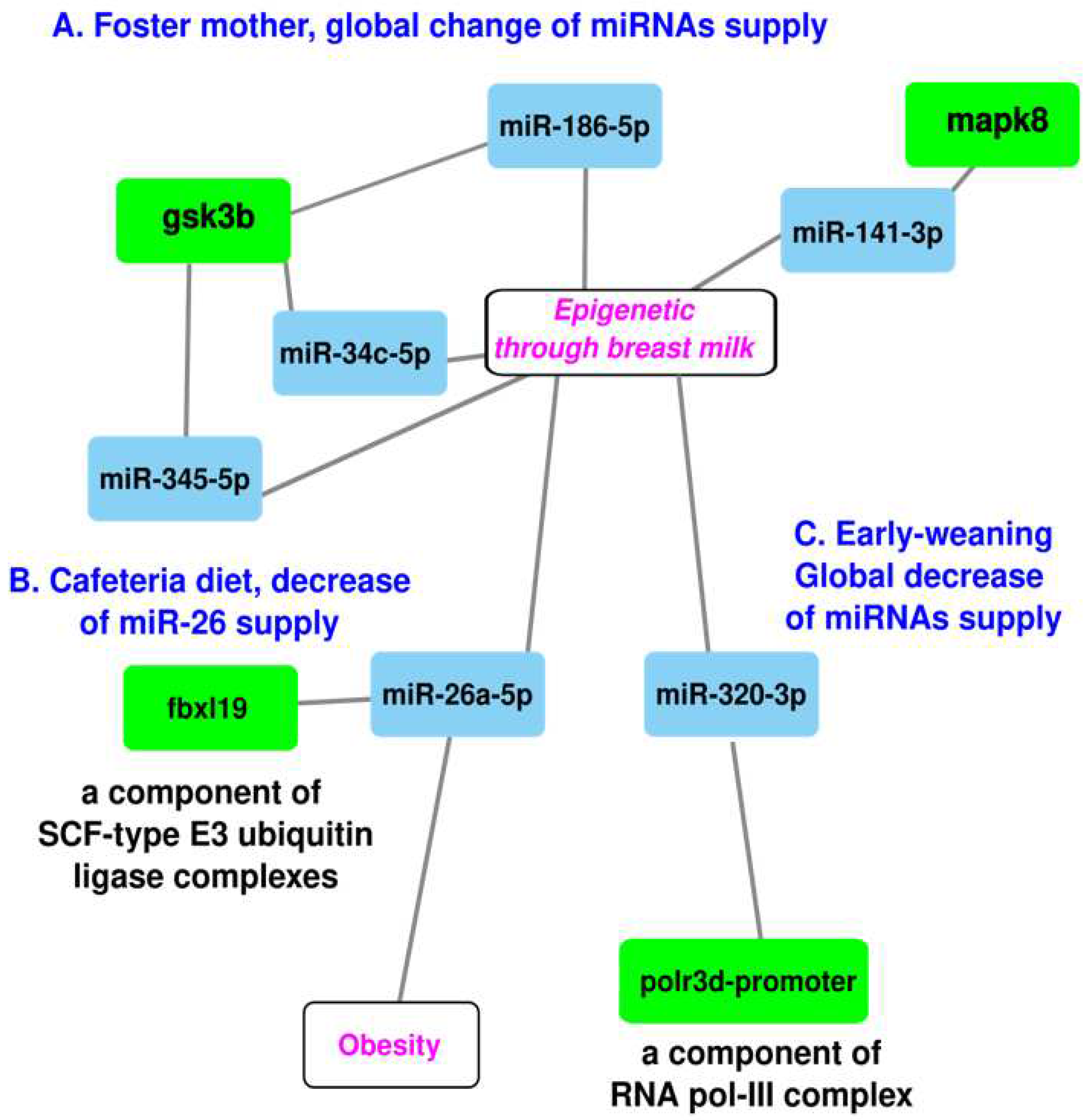 Preprints 87028 g002