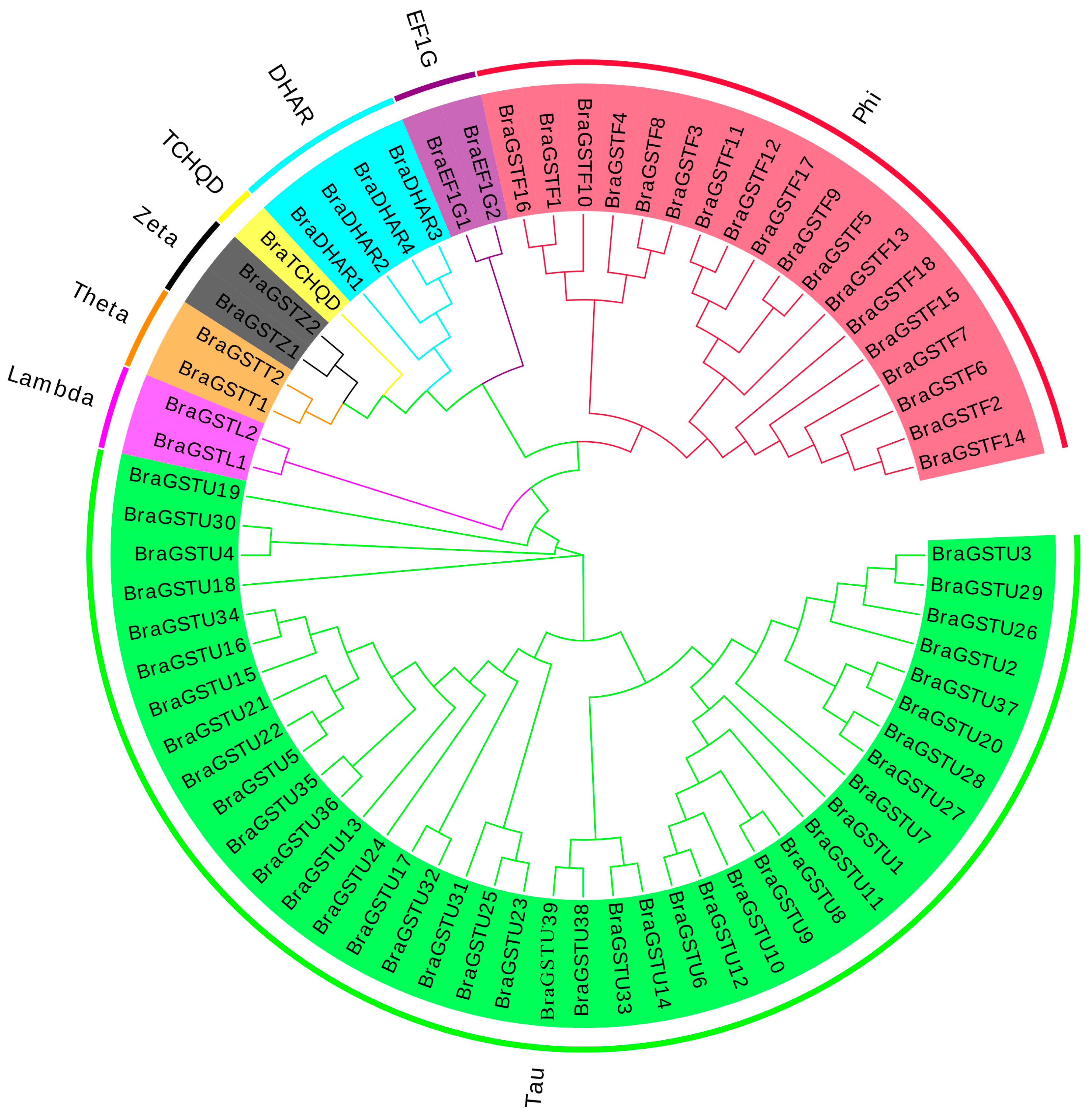 Preprints 80614 g001