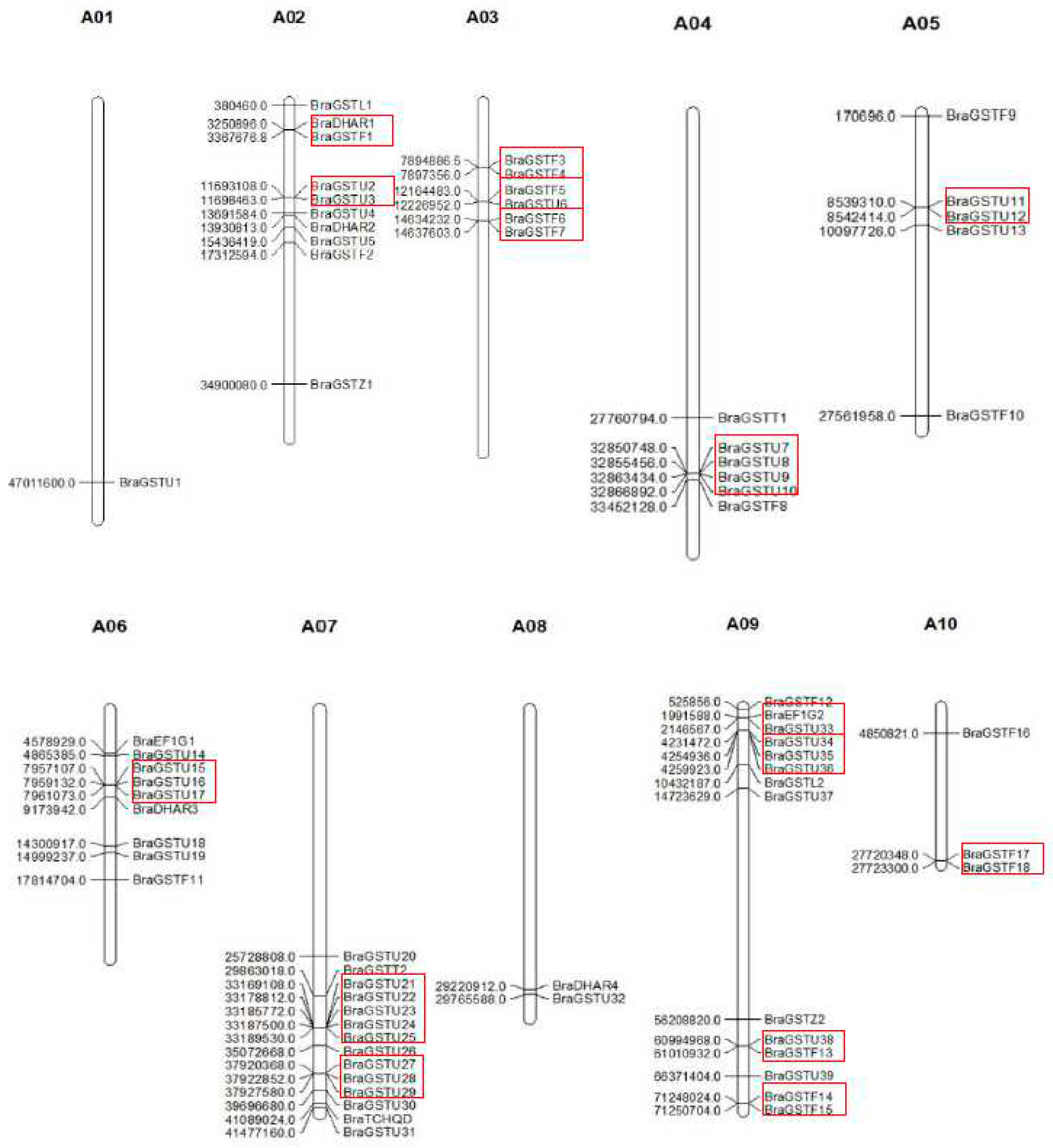 Preprints 80614 g002