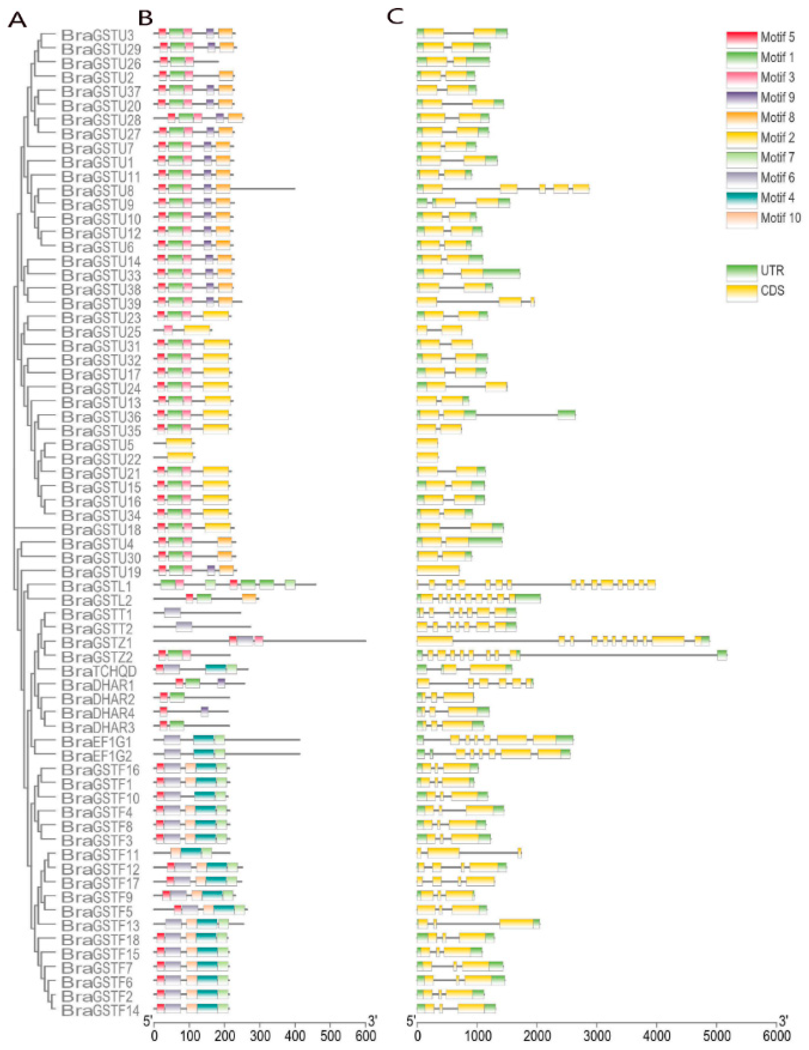 Preprints 80614 g003