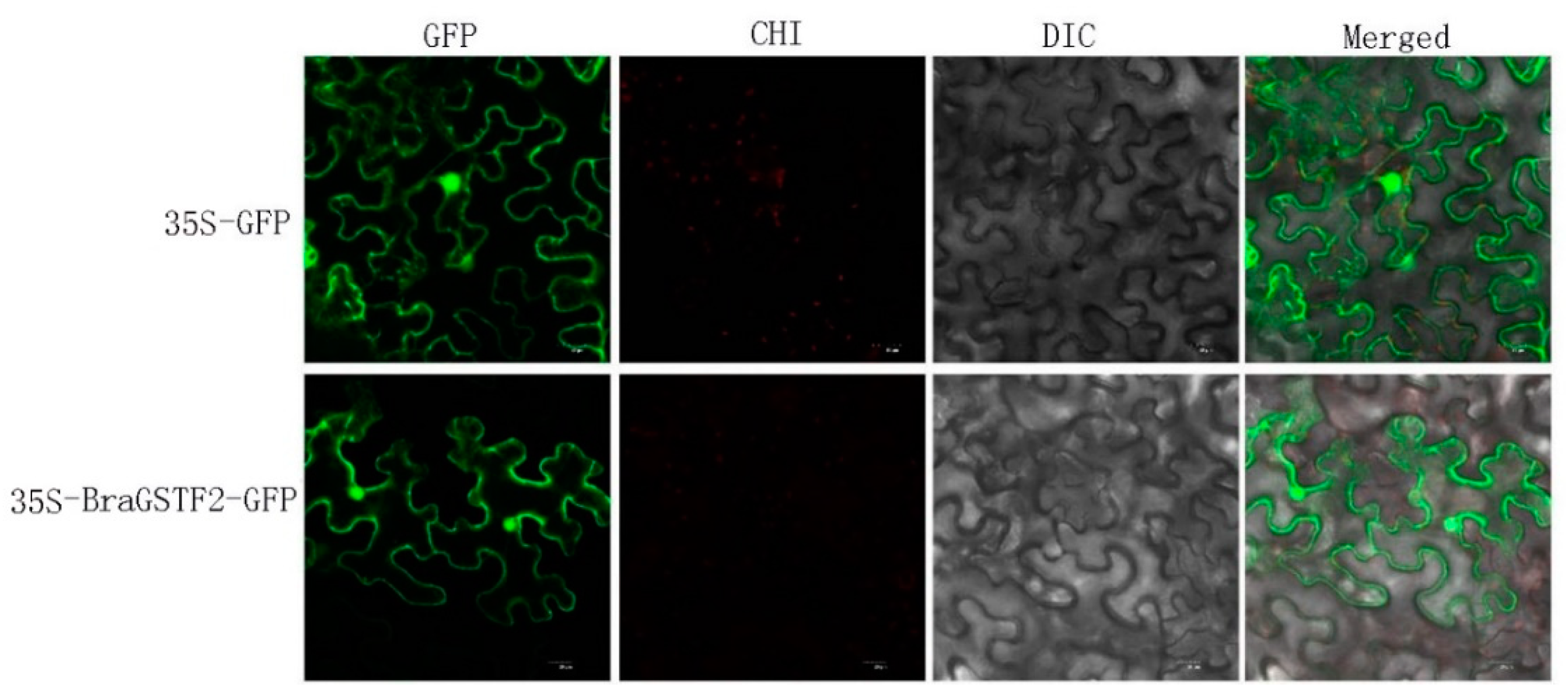 Preprints 80614 g006