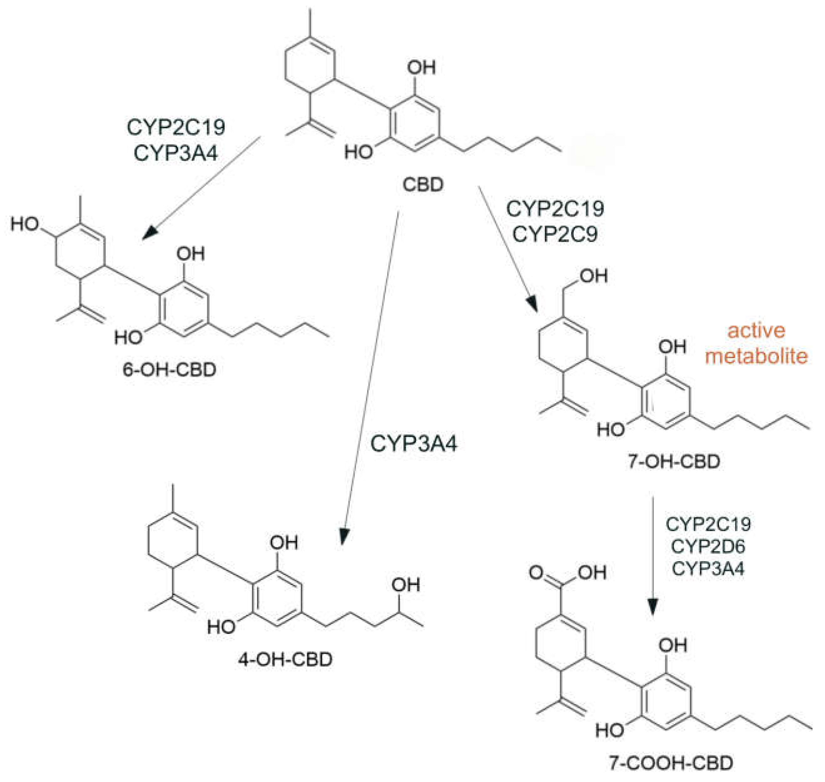 Preprints 113797 g003