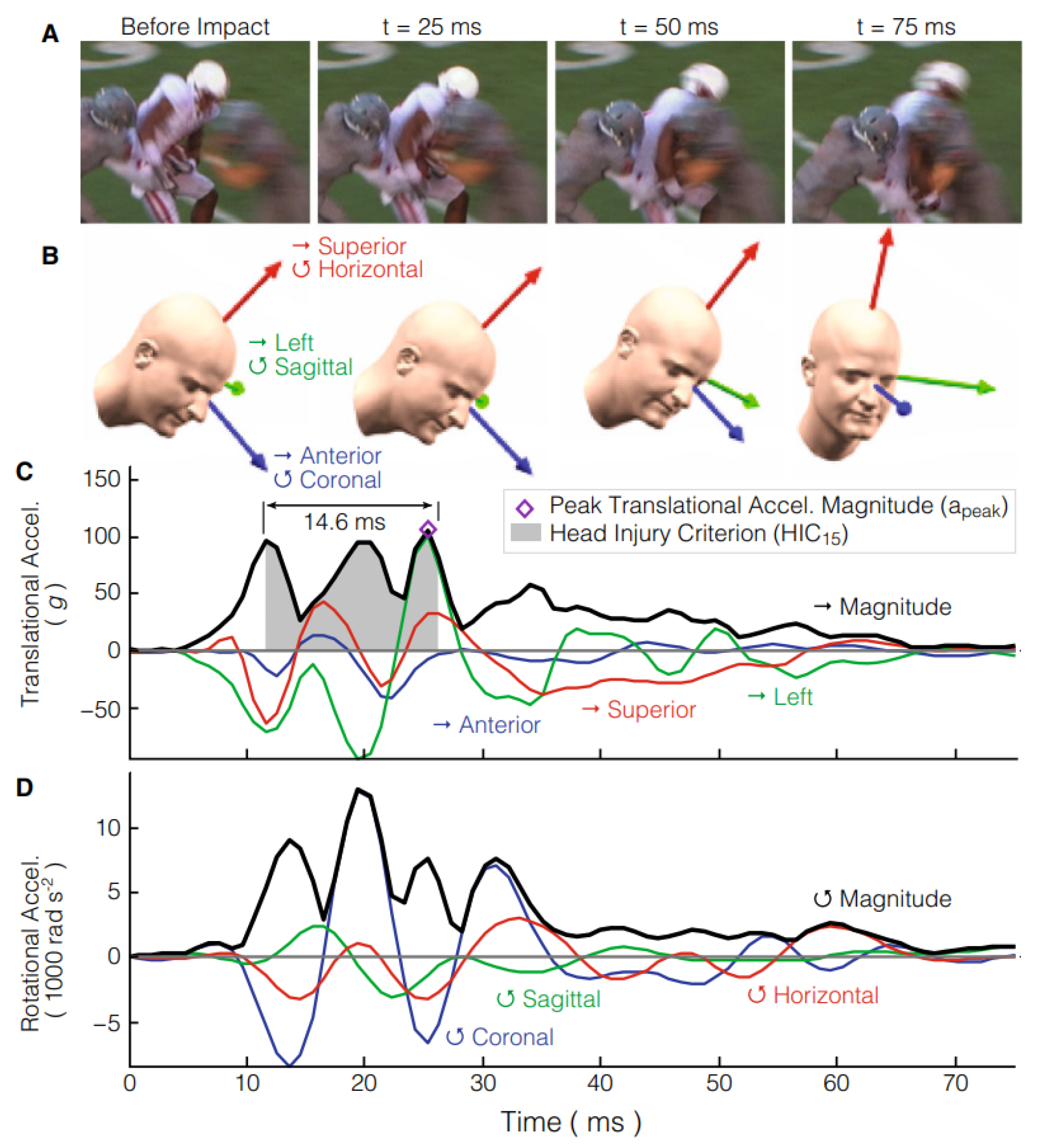 Preprints 100877 g009