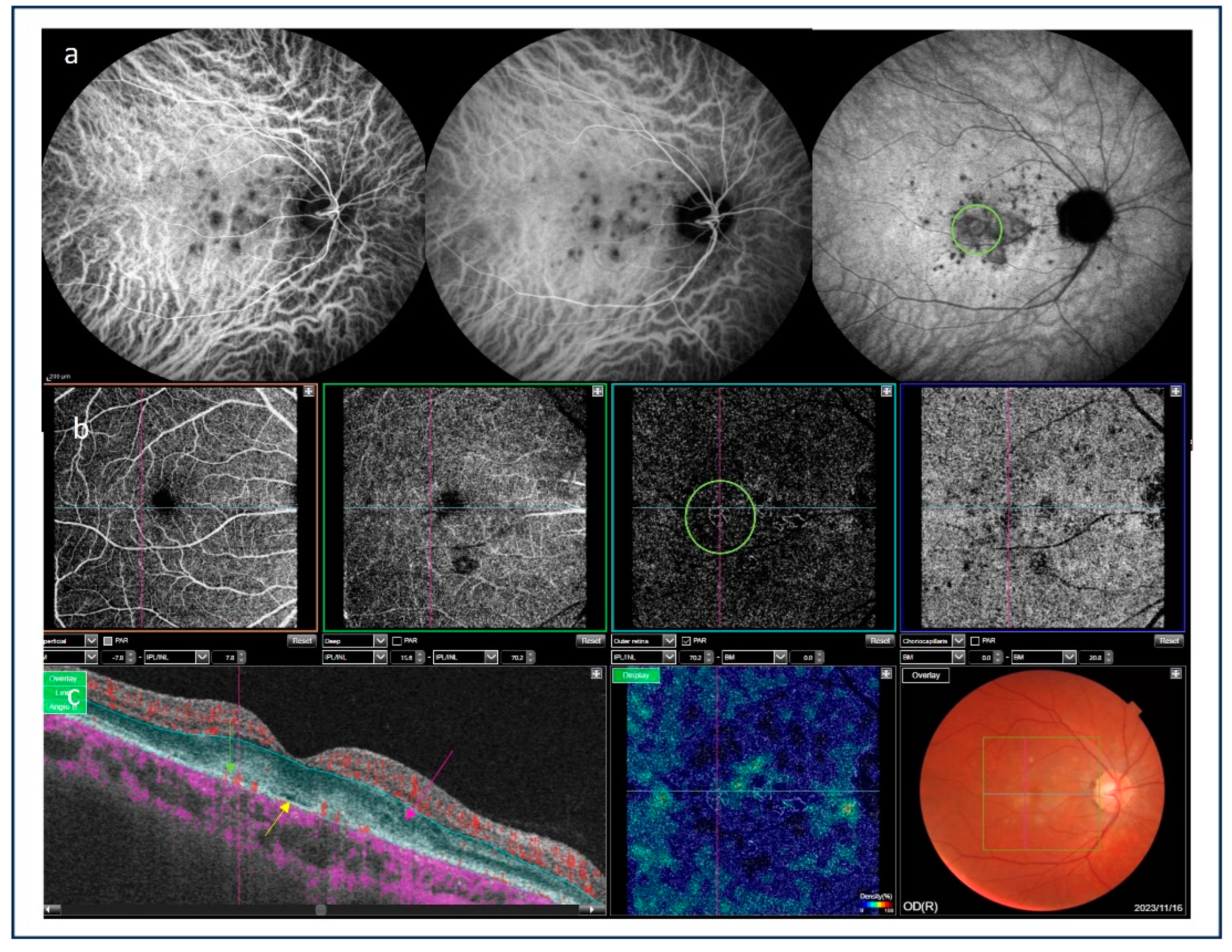 Preprints 98277 g006