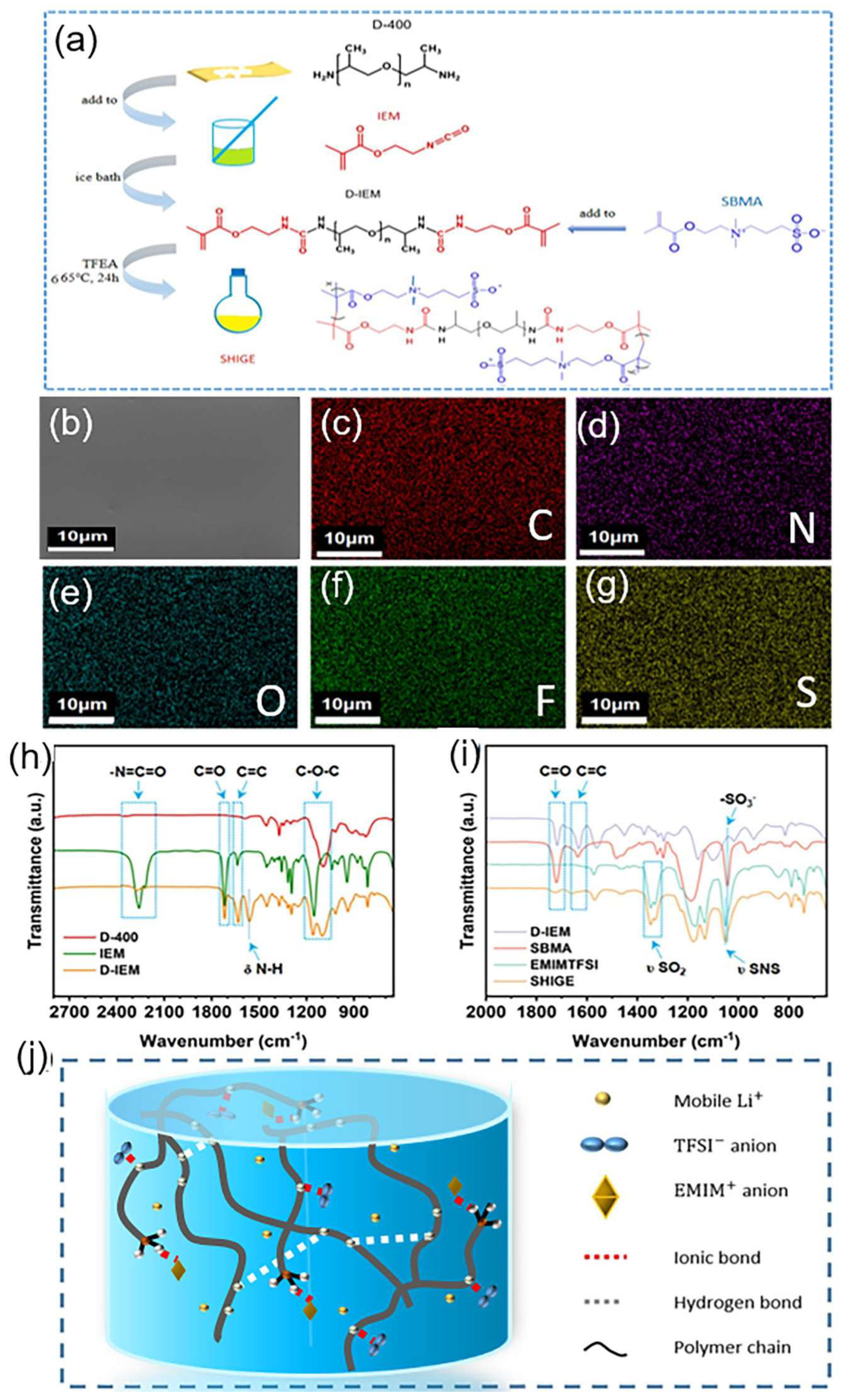 Preprints 82020 g001