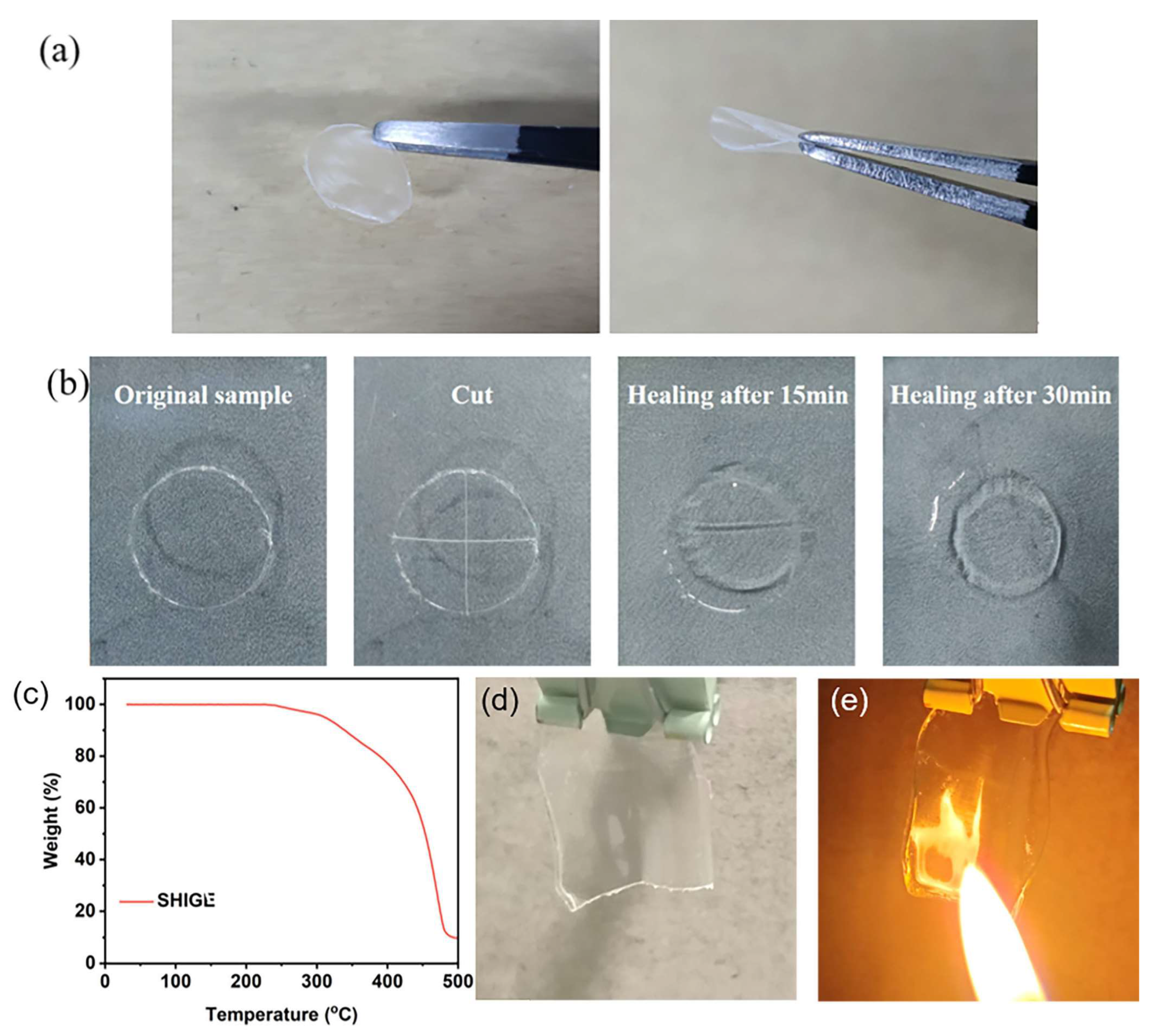 Preprints 82020 g002