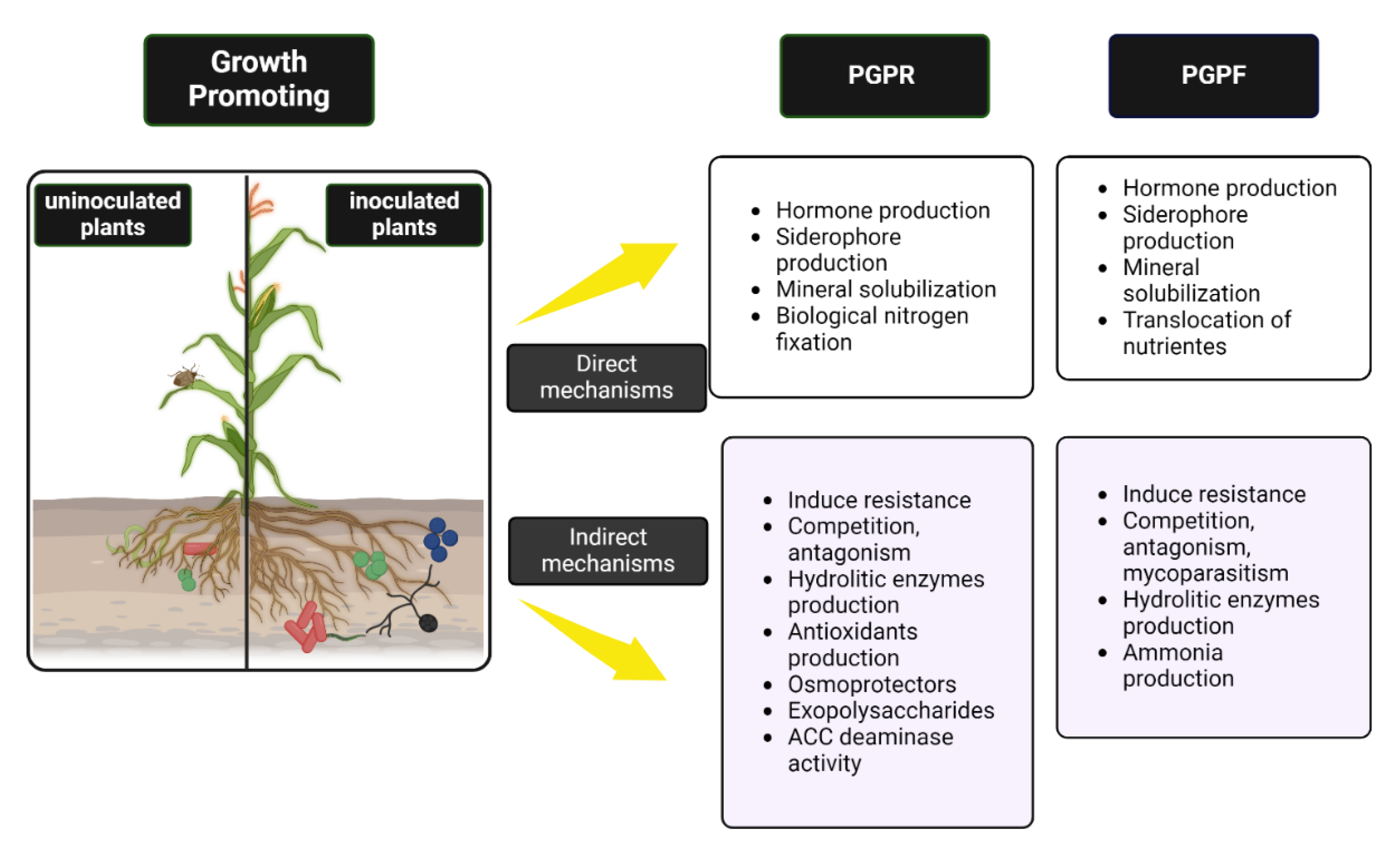 Preprints 109669 g001