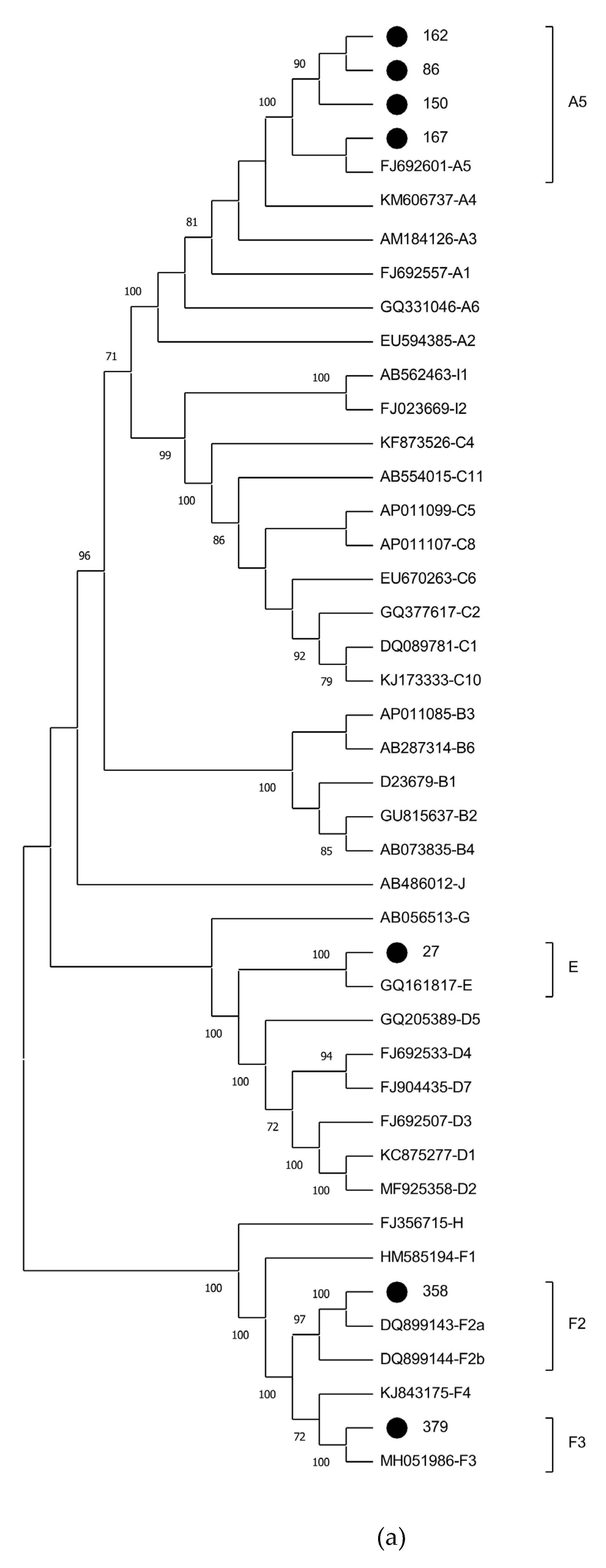 Preprints 109215 g001a