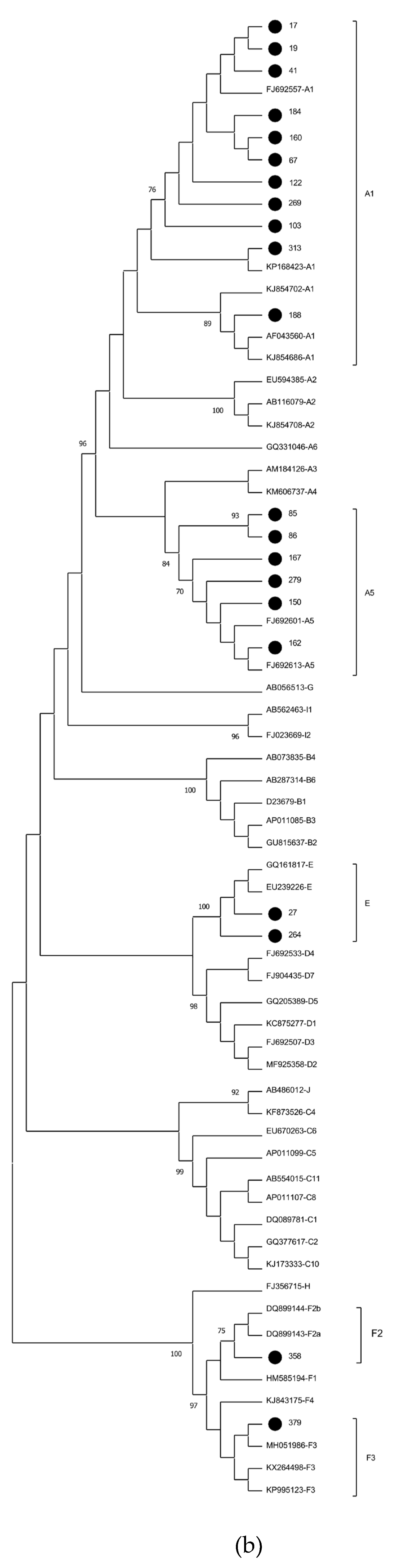 Preprints 109215 g001b