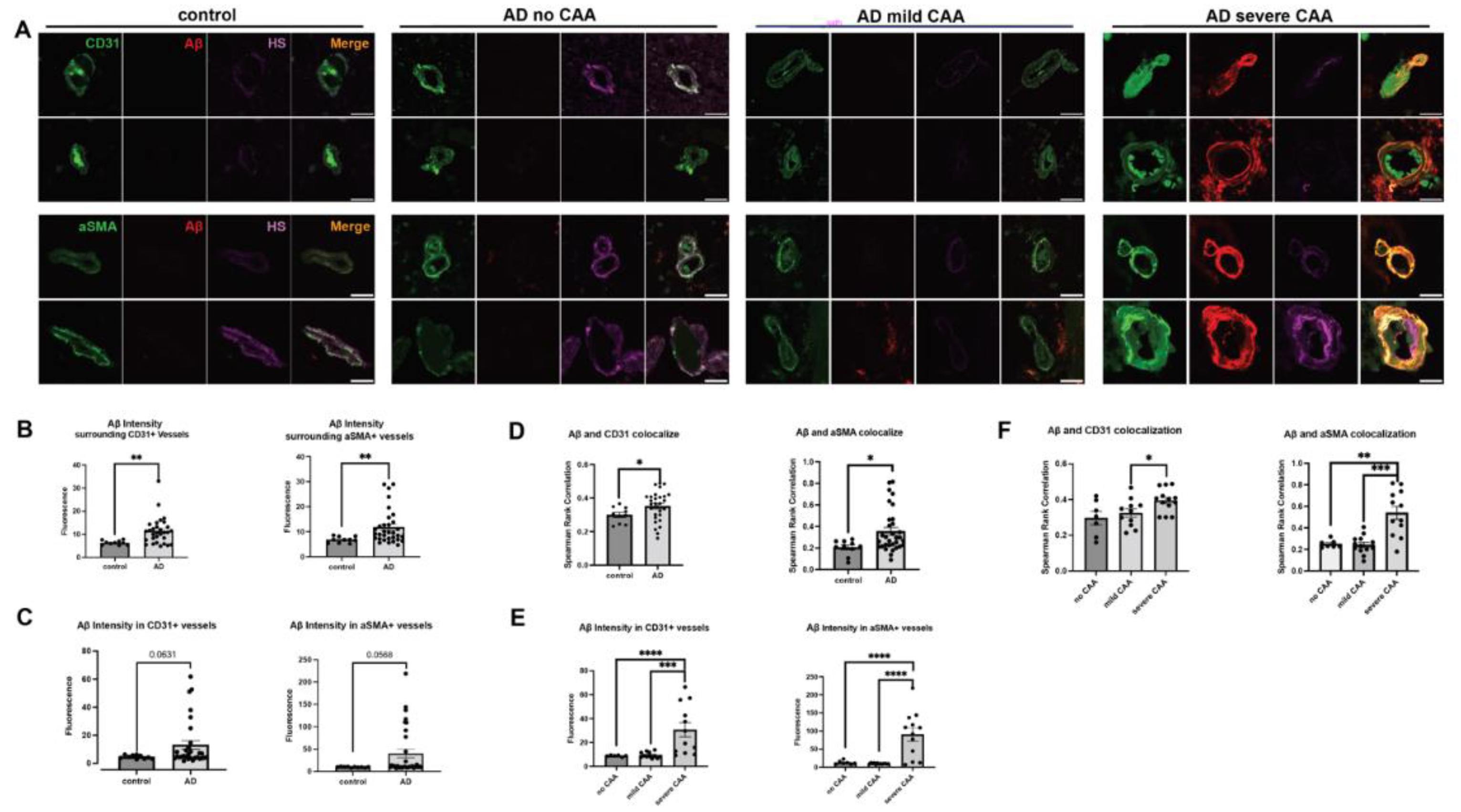 Preprints 98567 g001