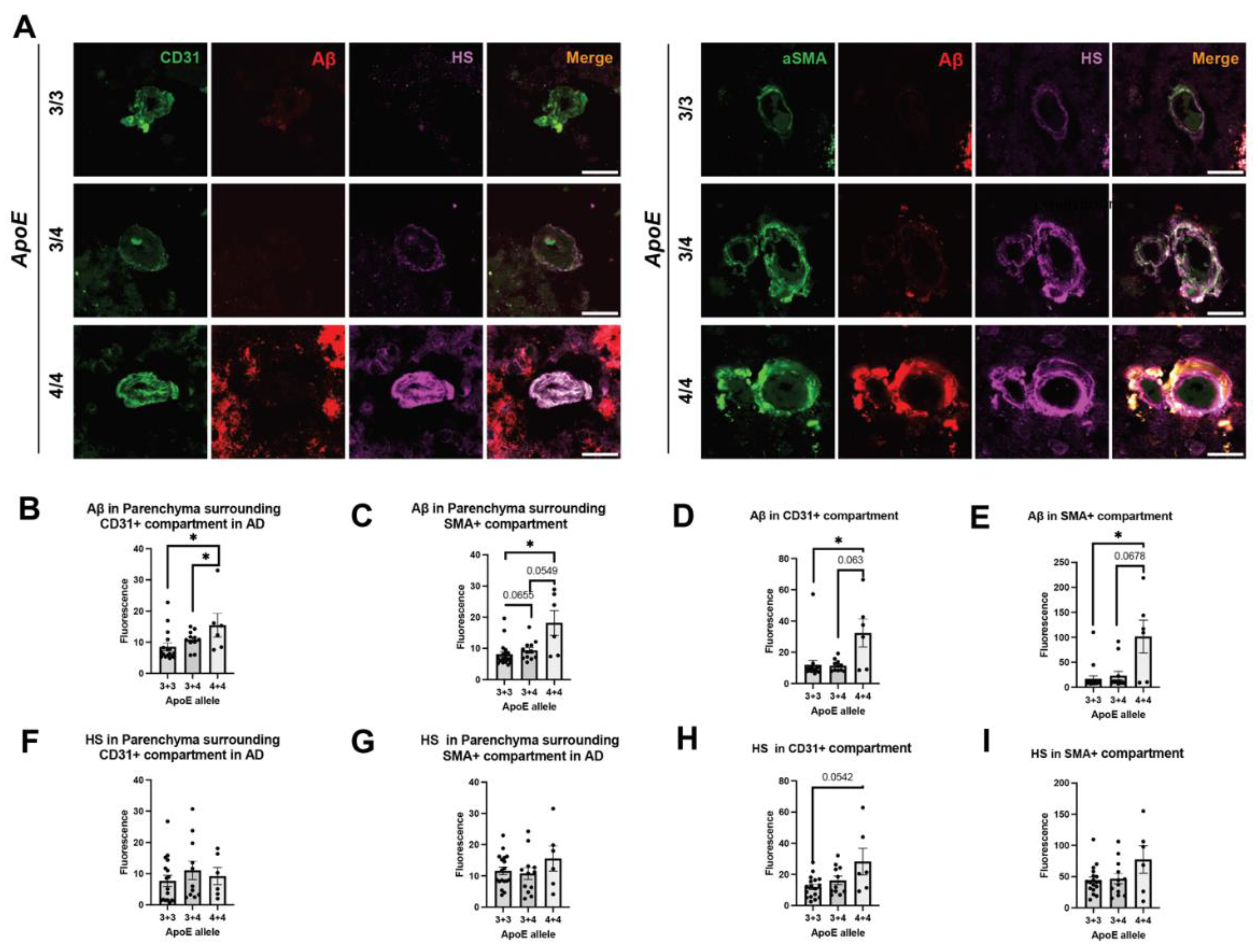 Preprints 98567 g006