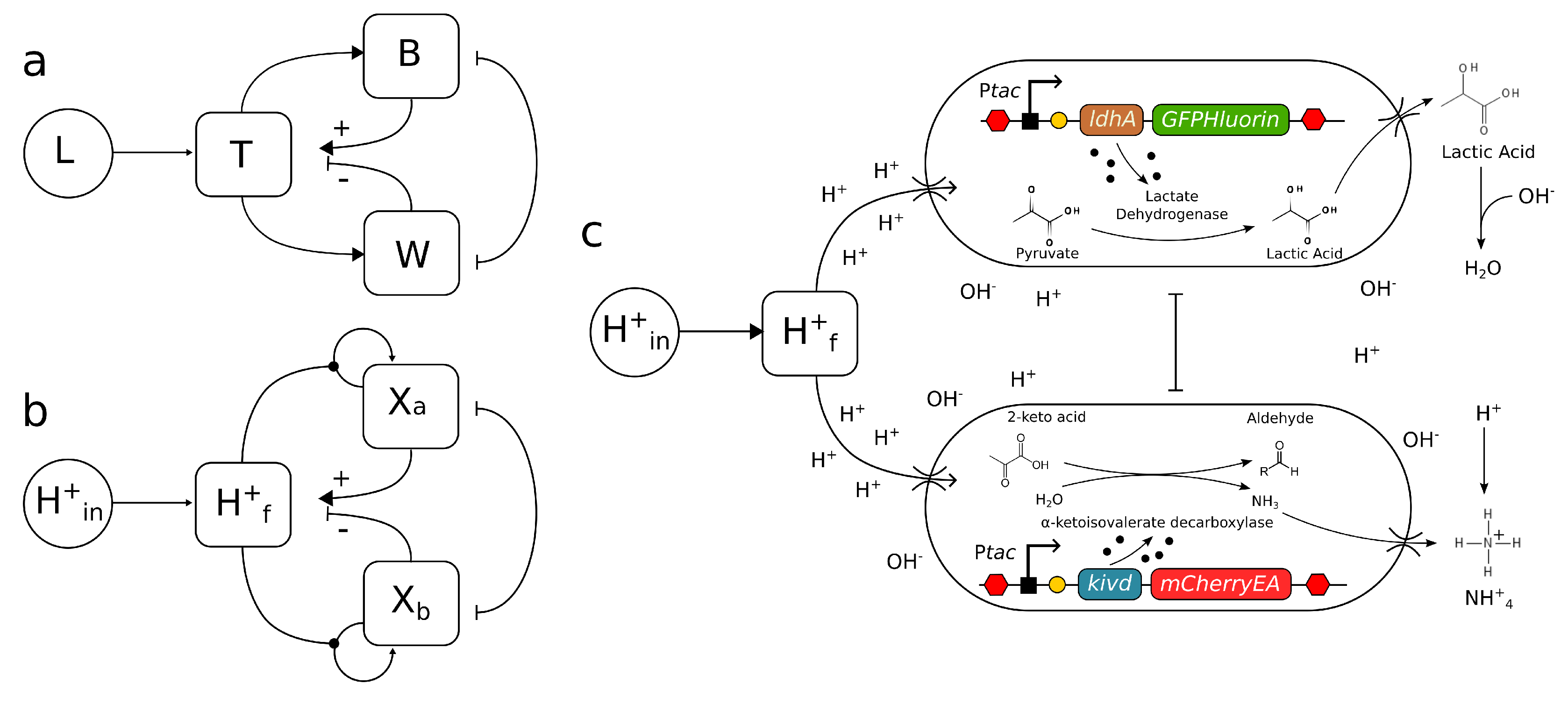 Preprints 80785 g002