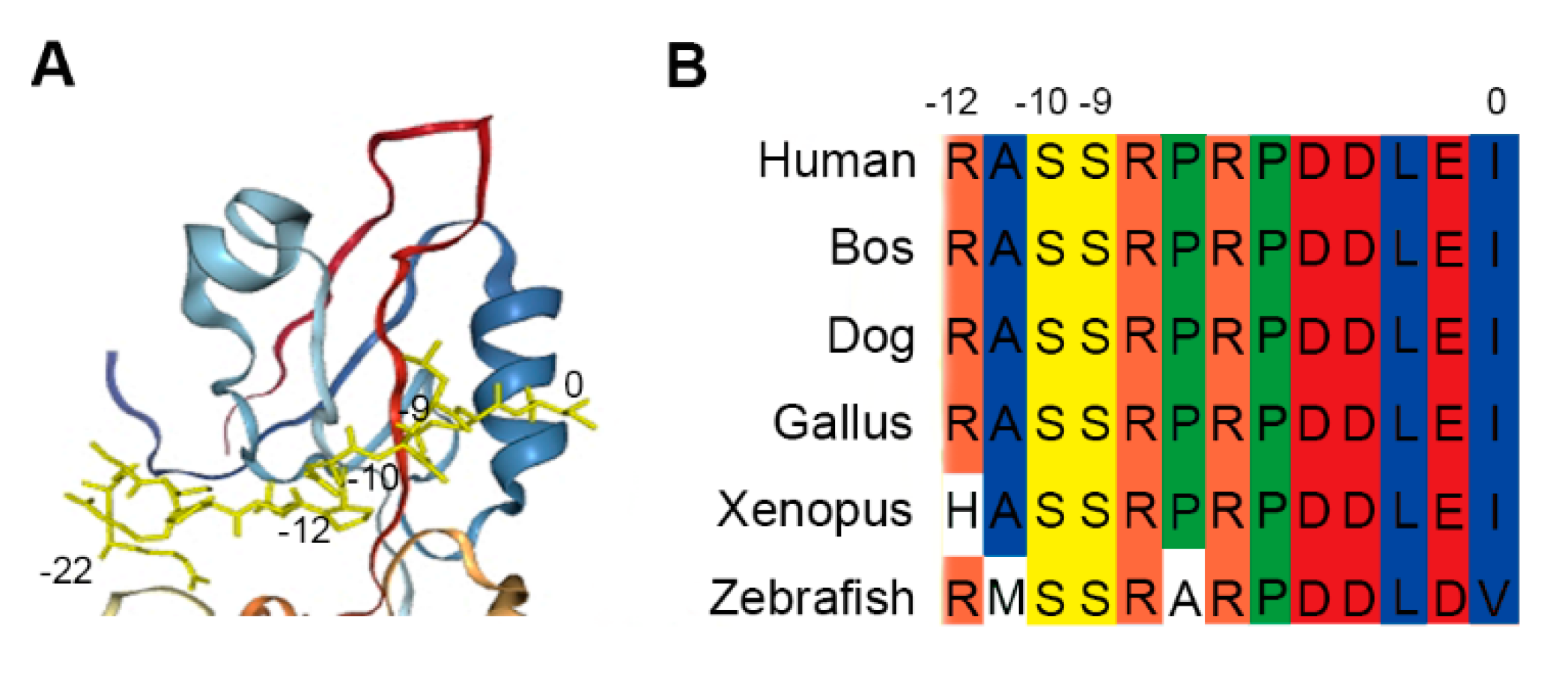 Preprints 95584 g001