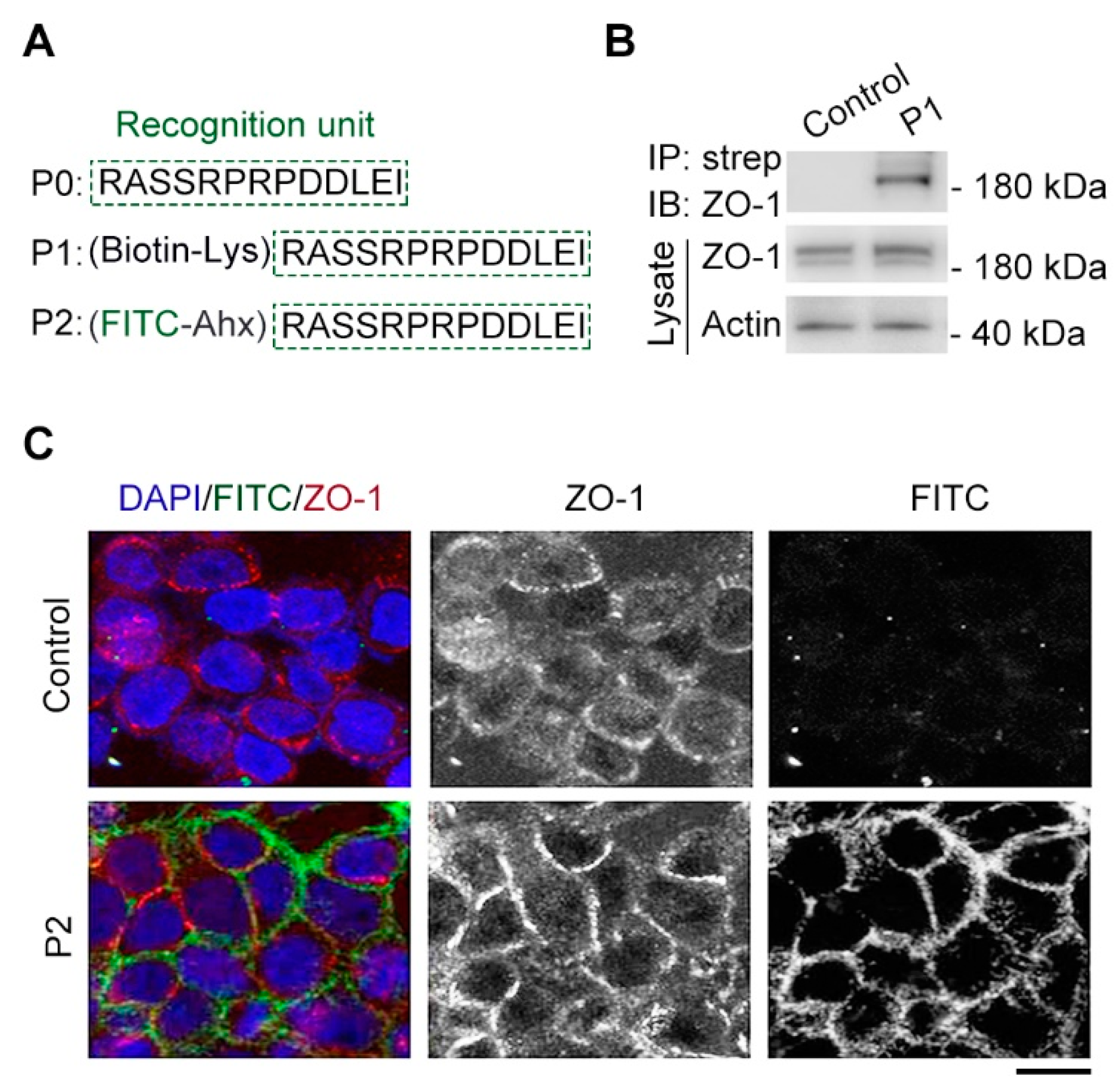 Preprints 95584 g002