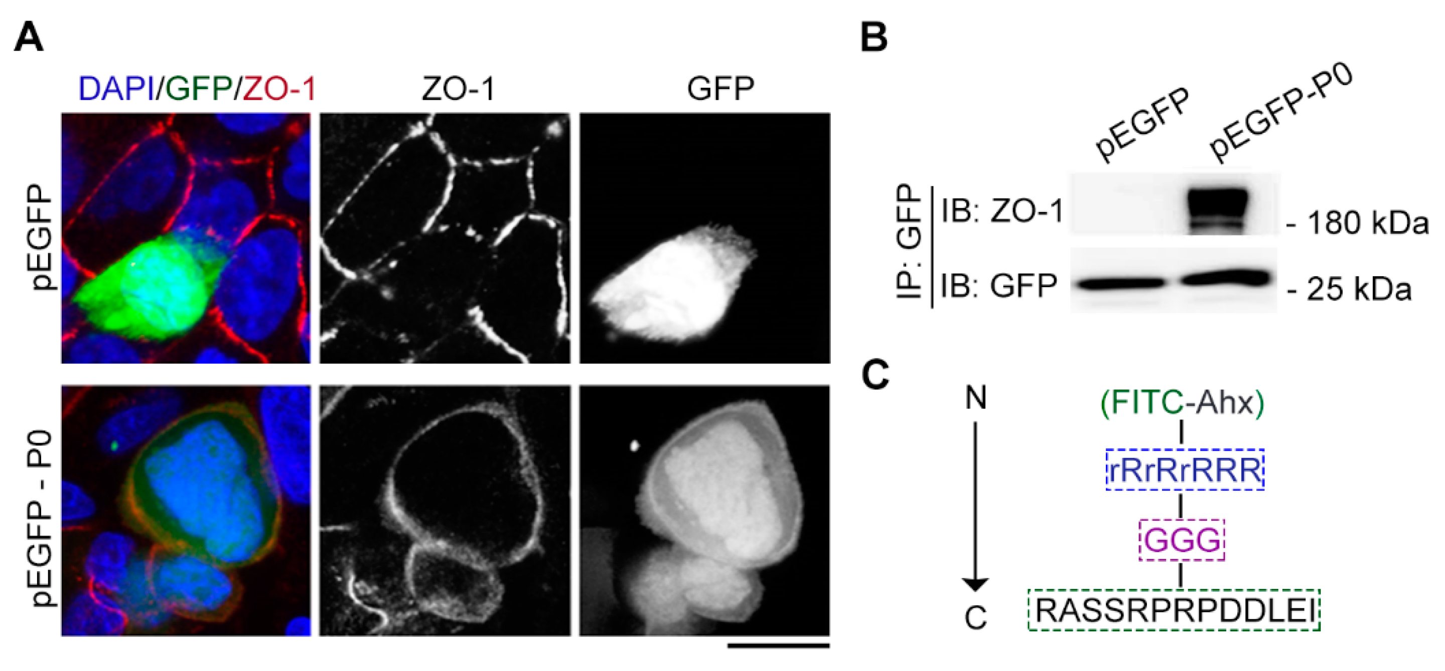 Preprints 95584 g003