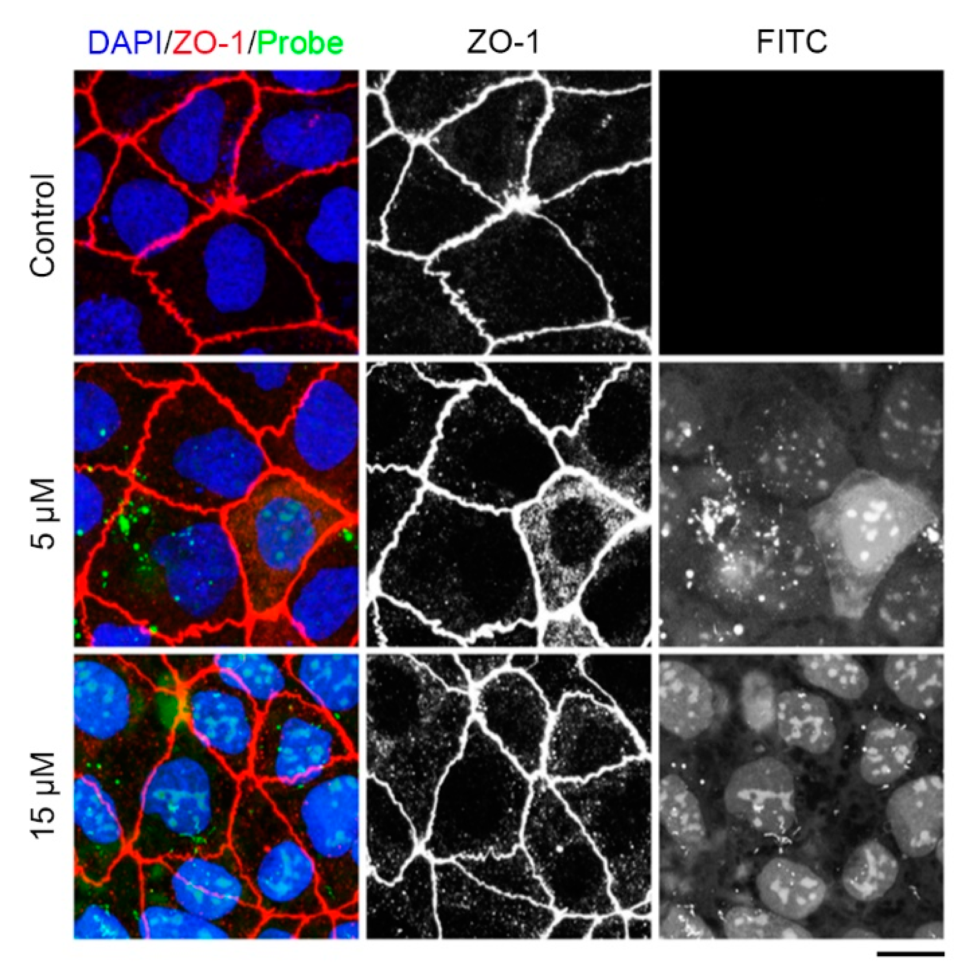 Preprints 95584 g004