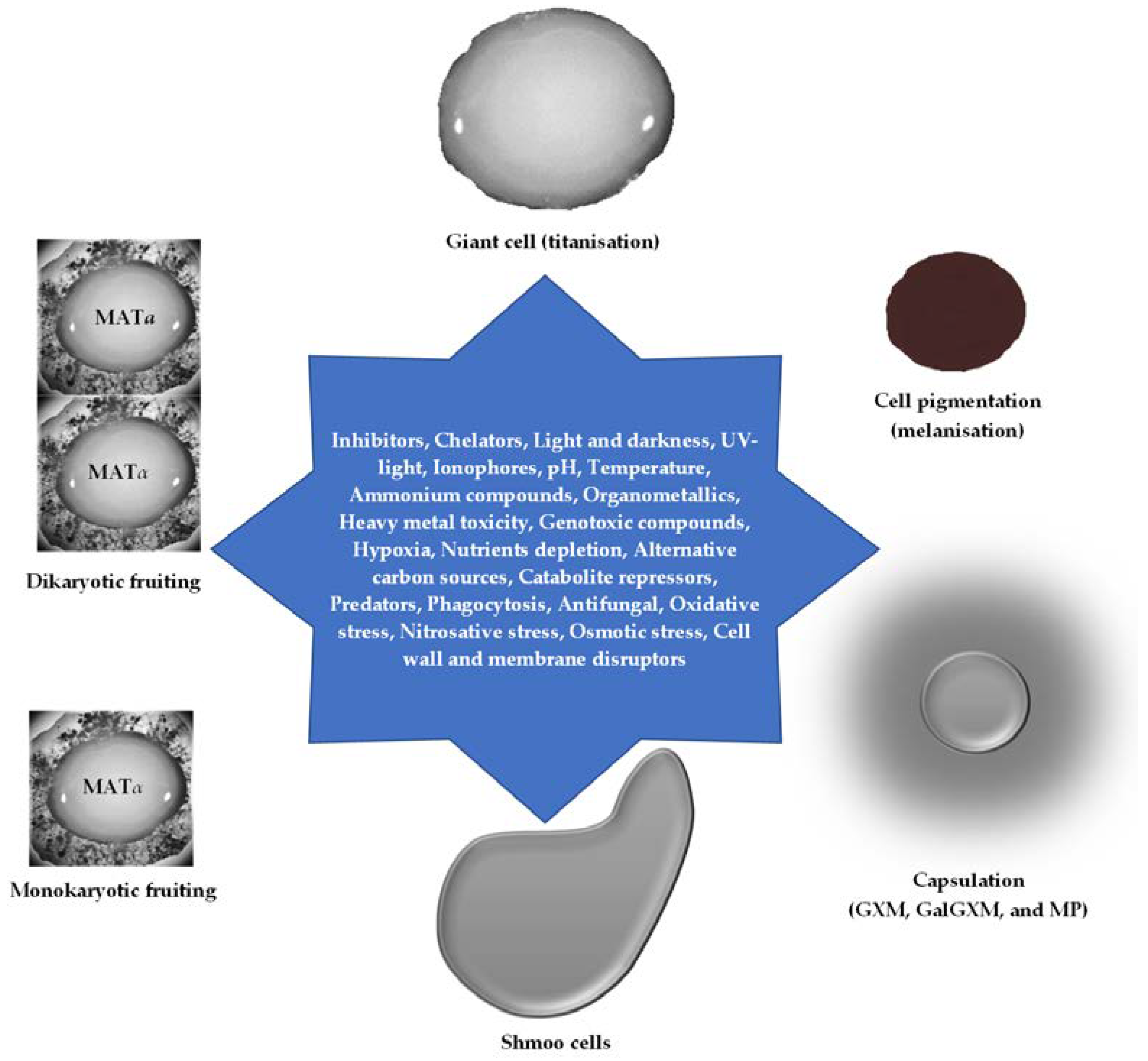 Preprints 67715 g001