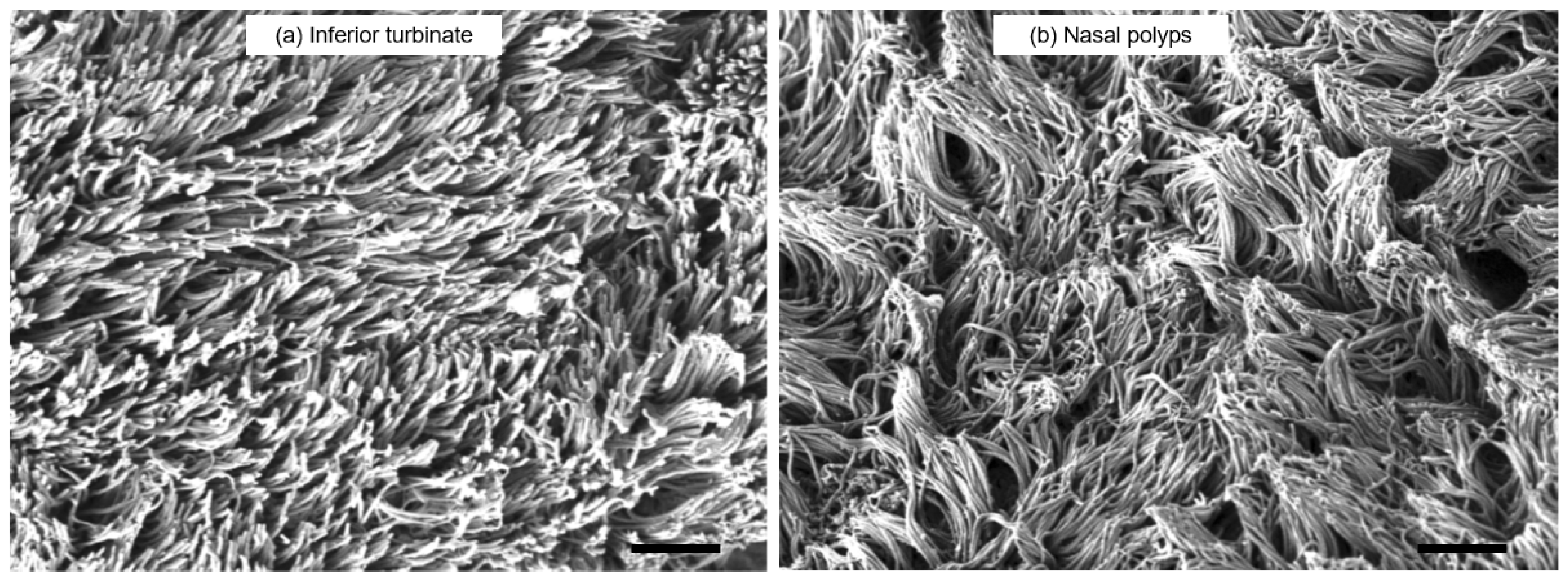 Preprints 113022 g003