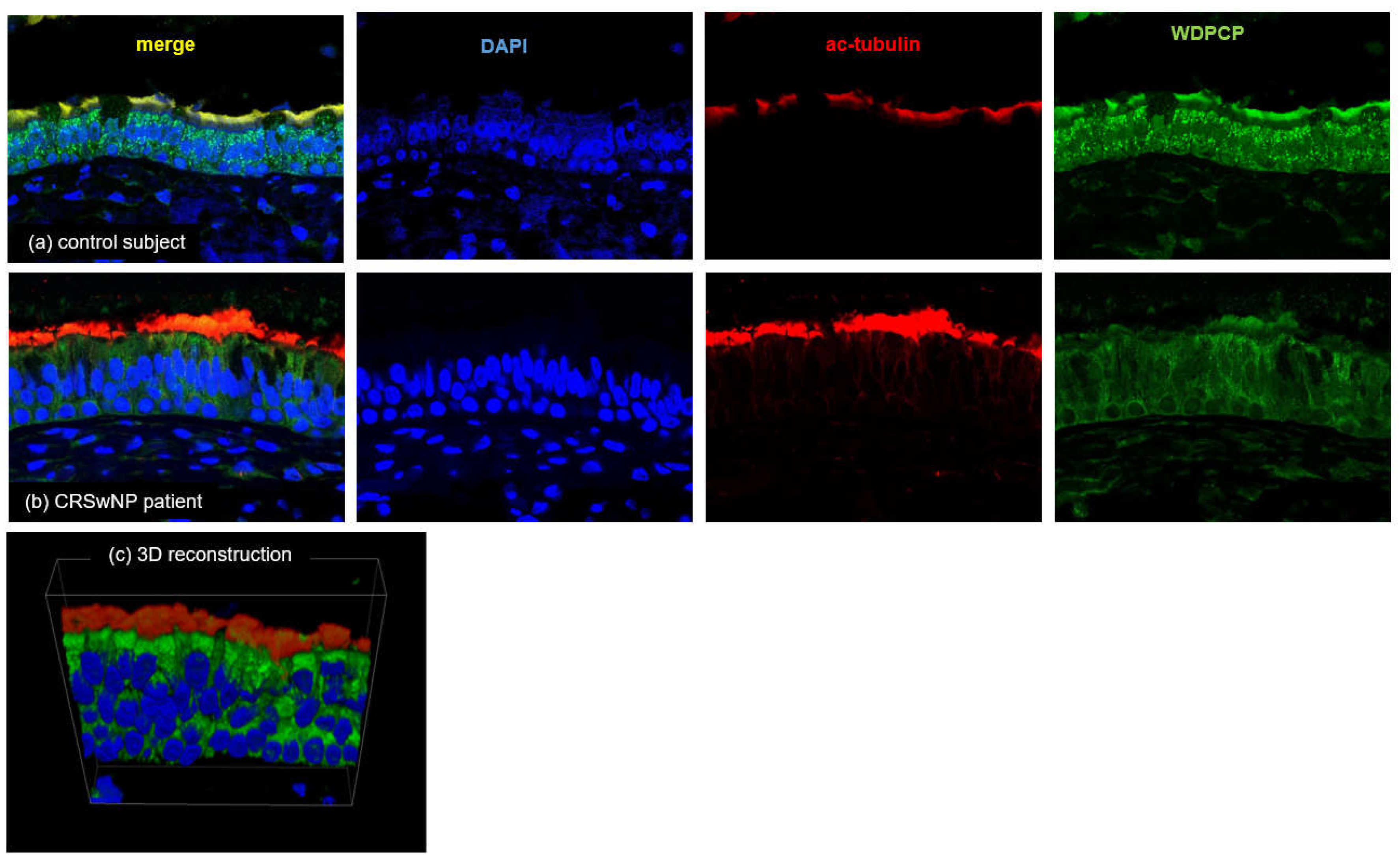 Preprints 113022 g008