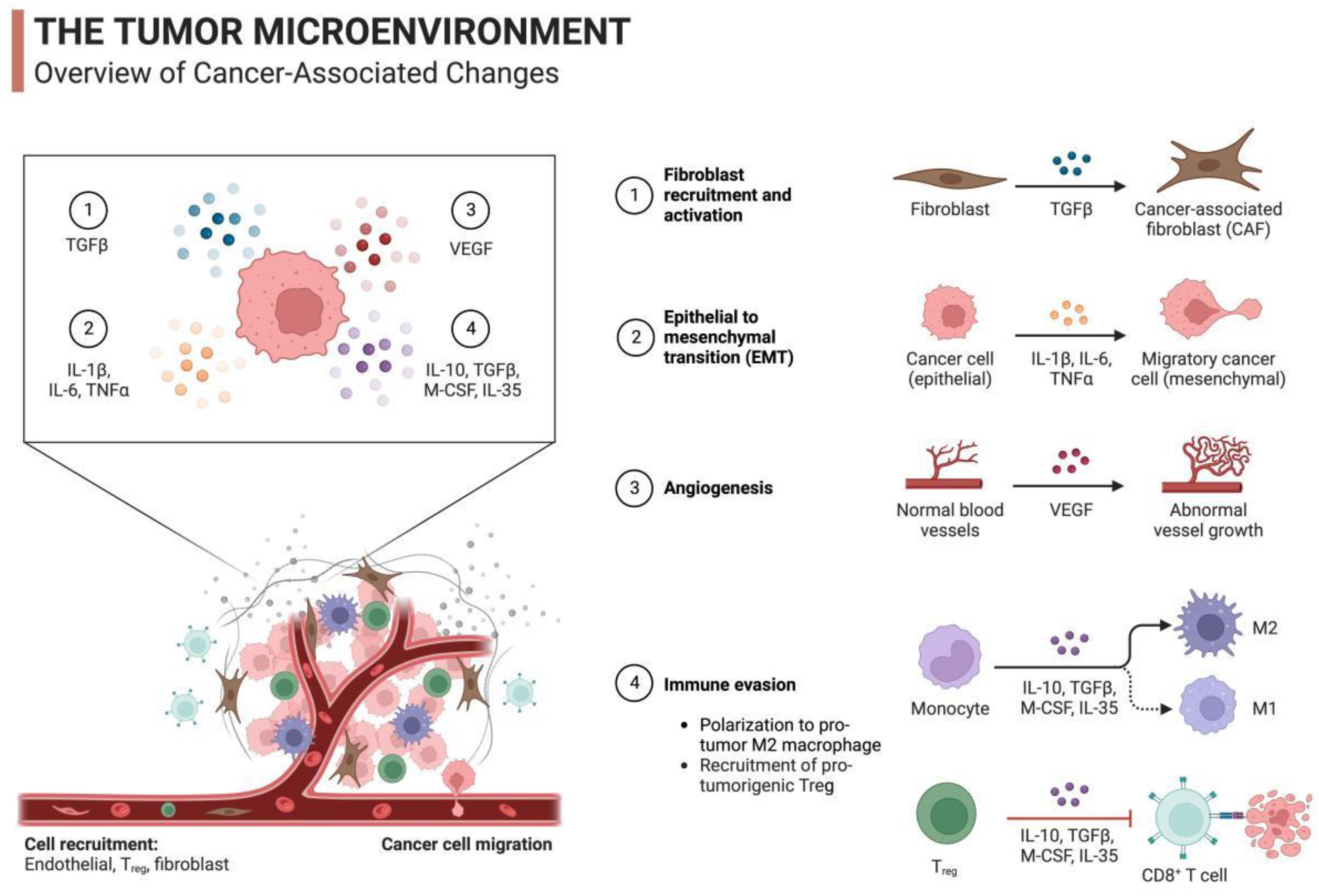 Preprints 92746 g002