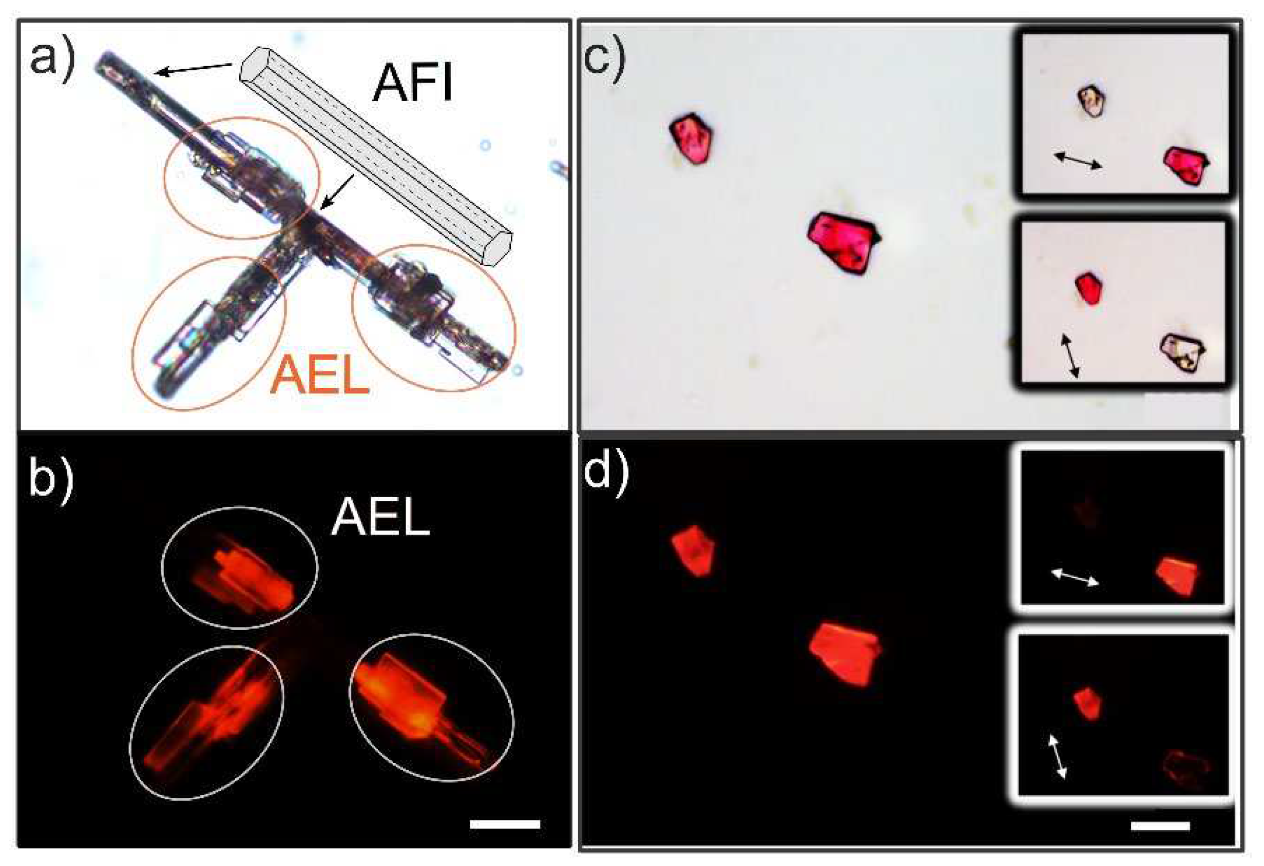 Preprints 98637 g006