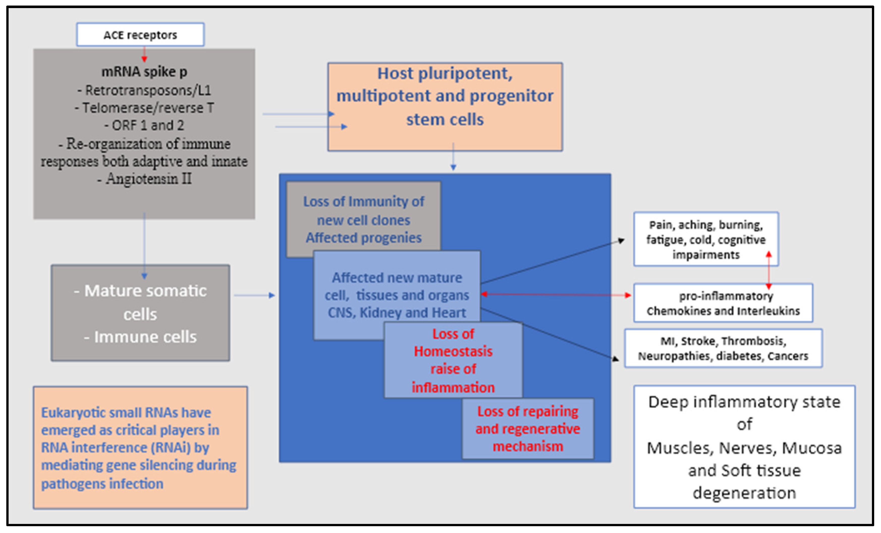 Preprints 82375 g003