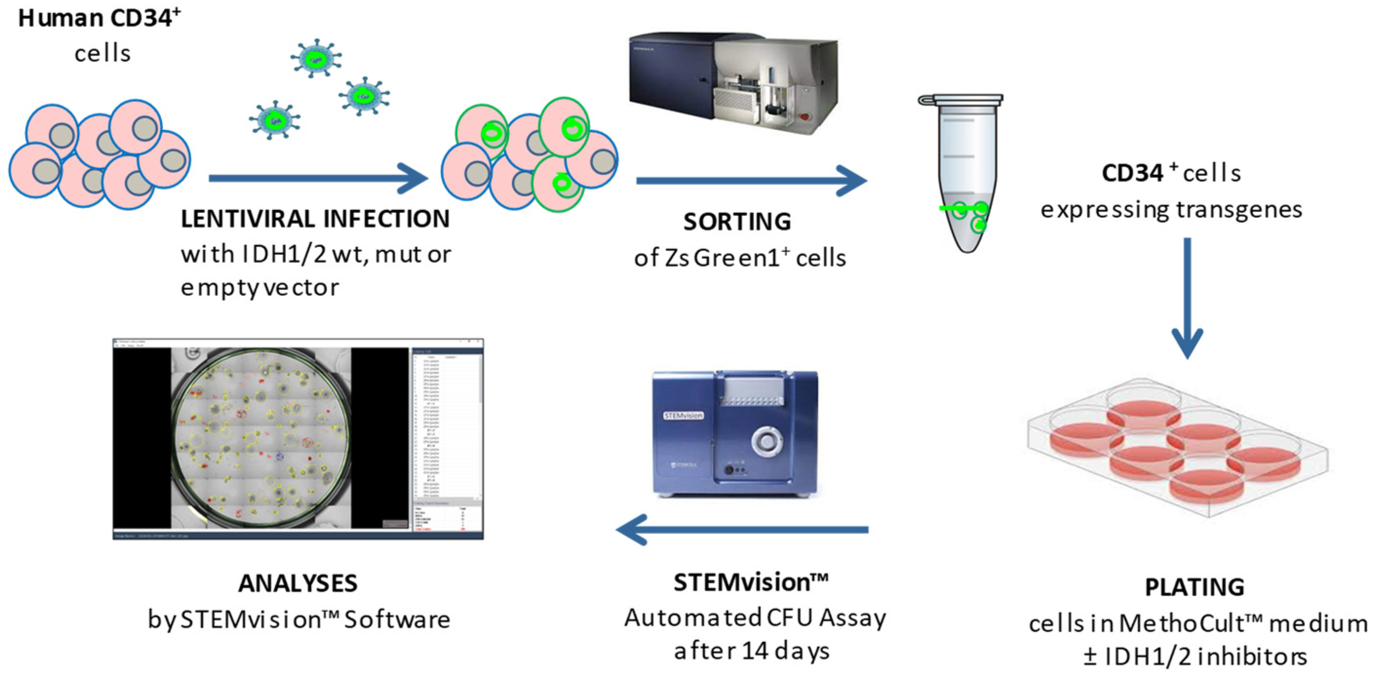 Preprints 110236 g001