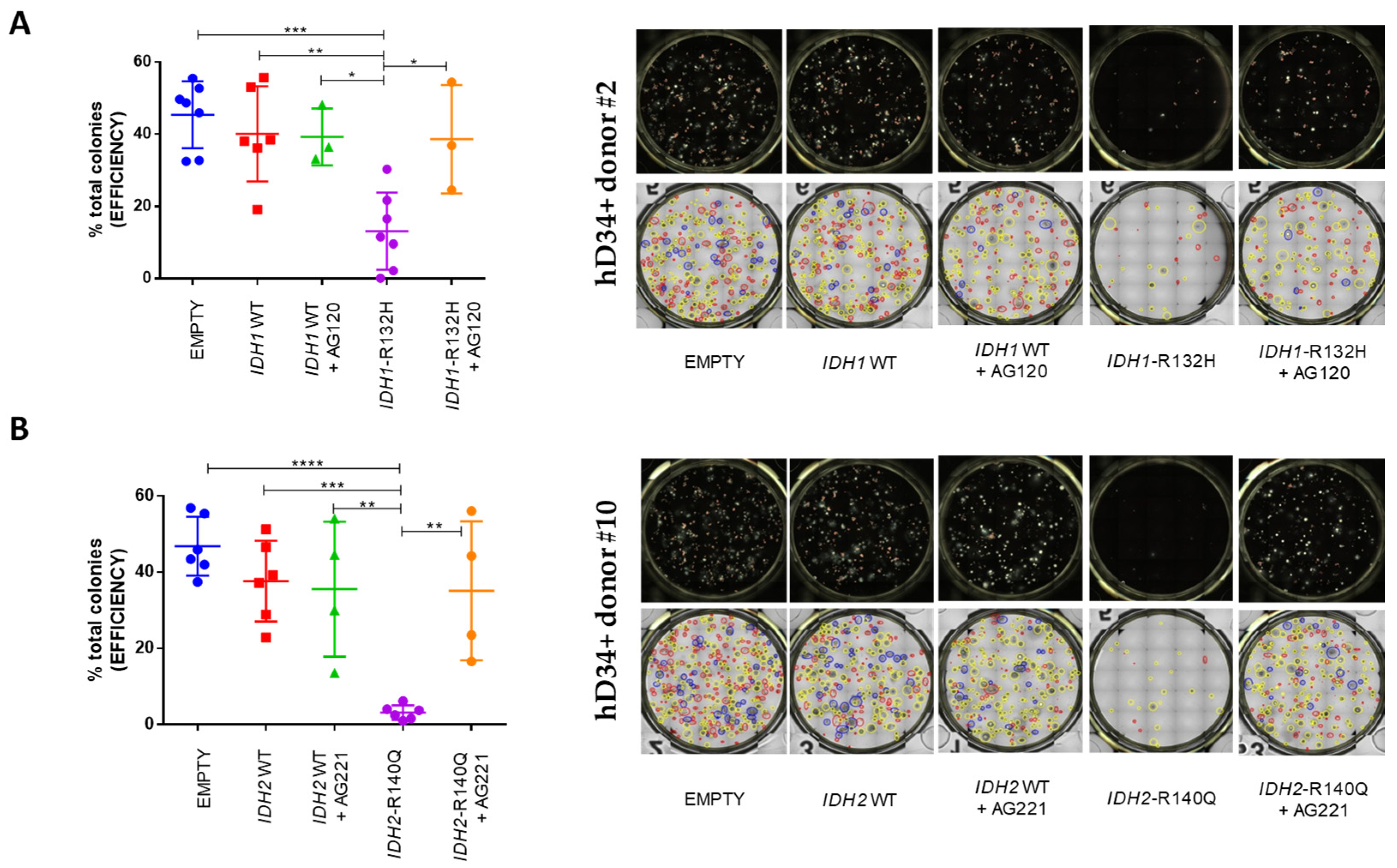 Preprints 110236 g002