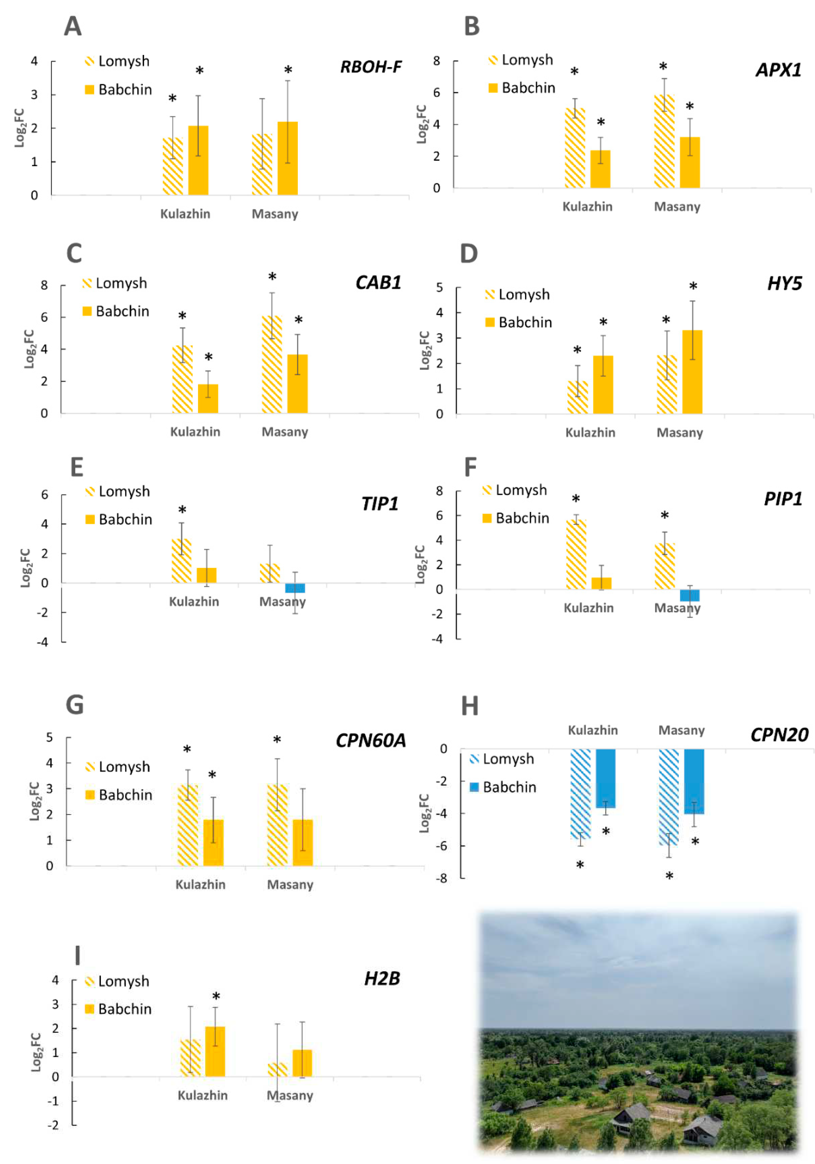 Preprints 73436 g002