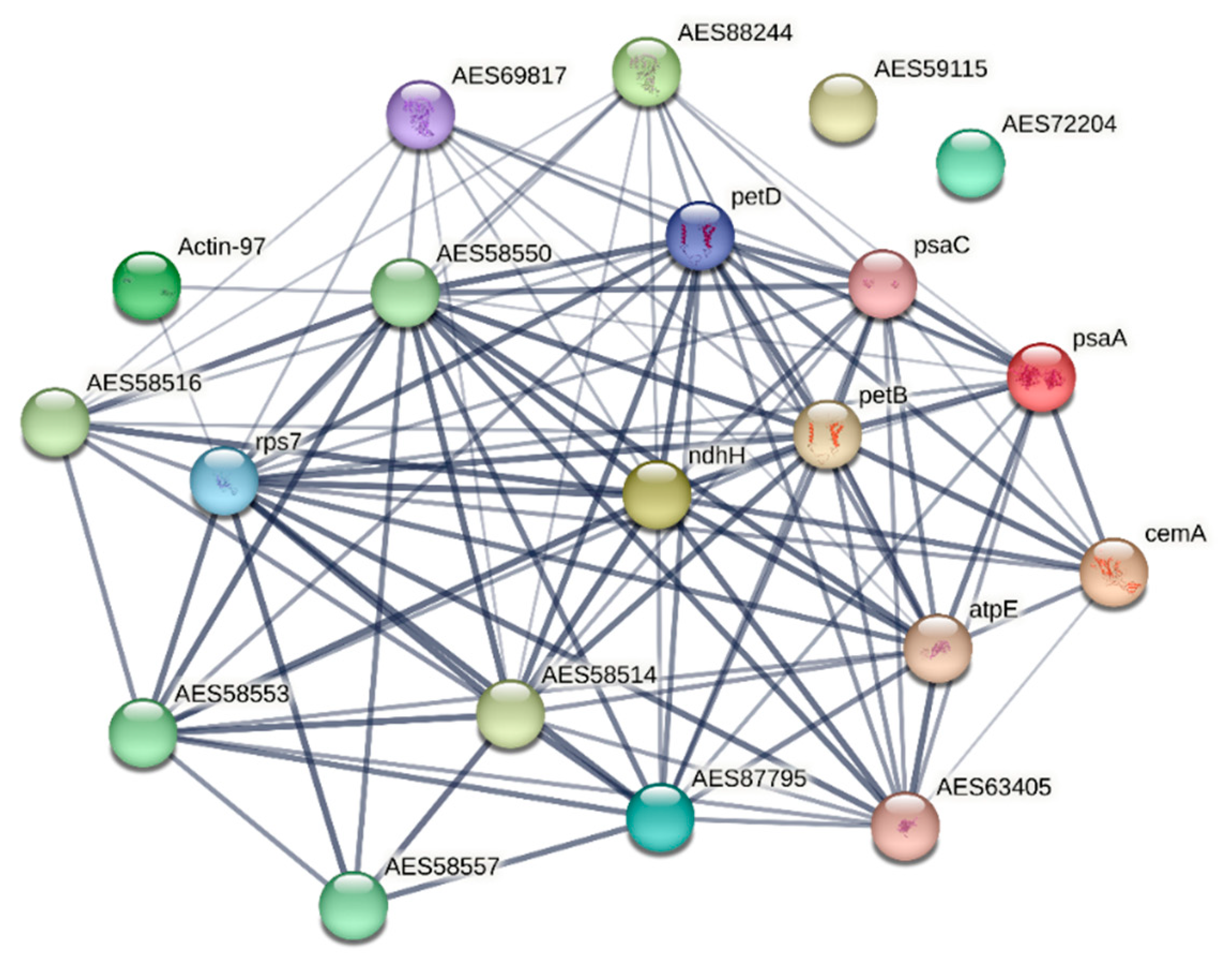 Preprints 73436 g005