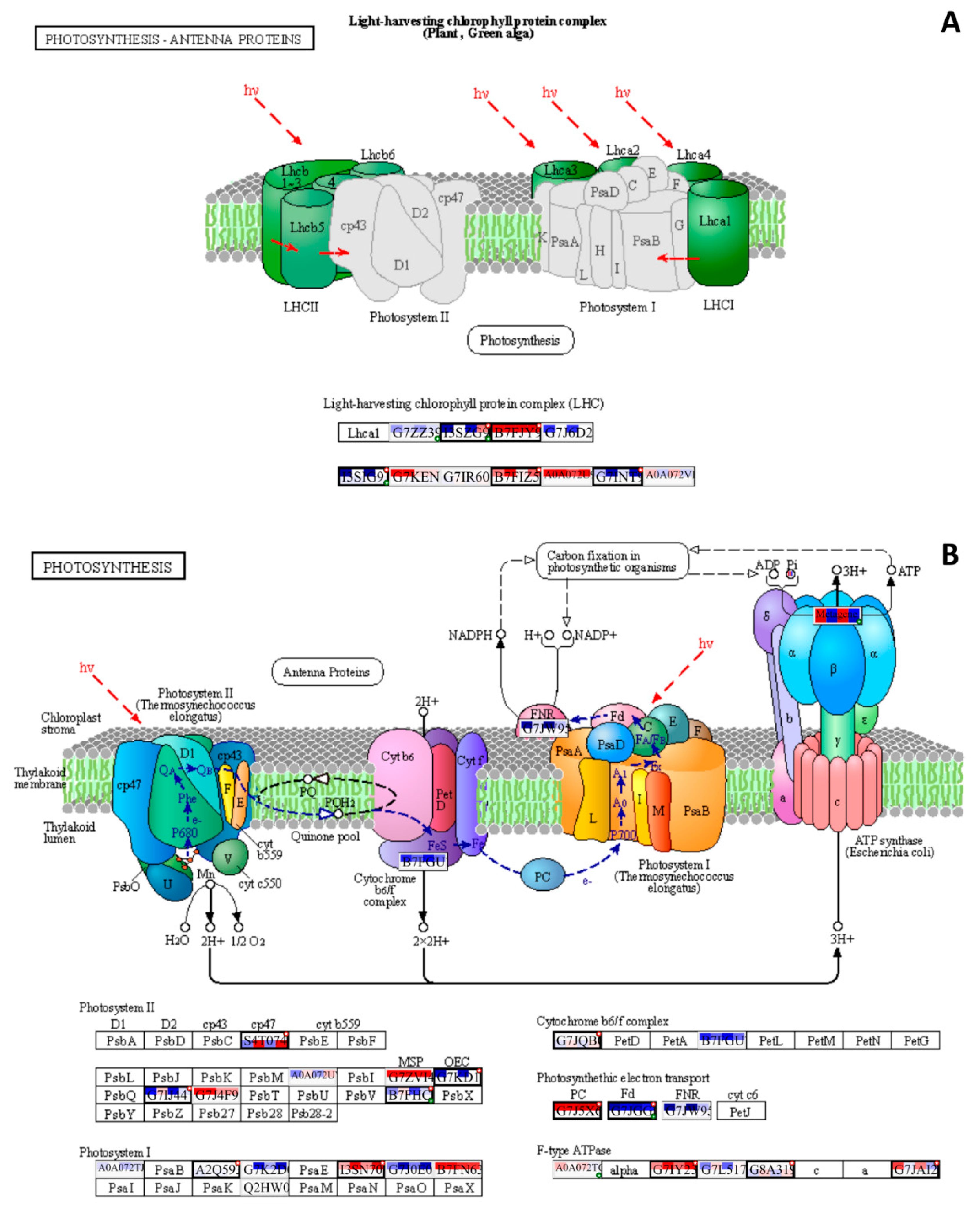 Preprints 73436 g010