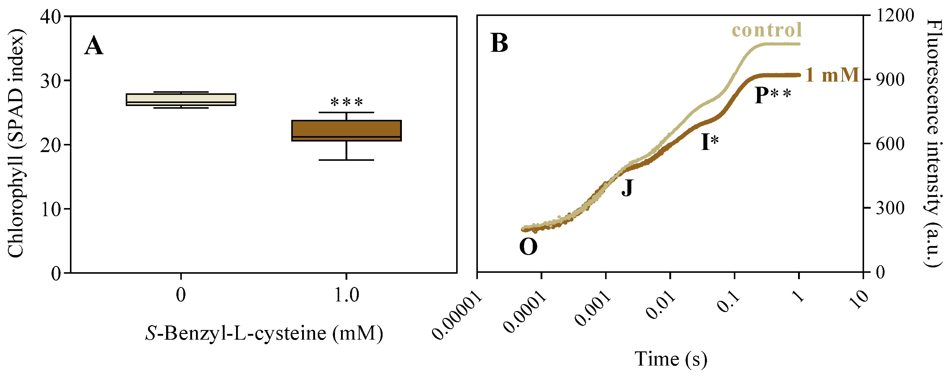 Preprints 111375 g005