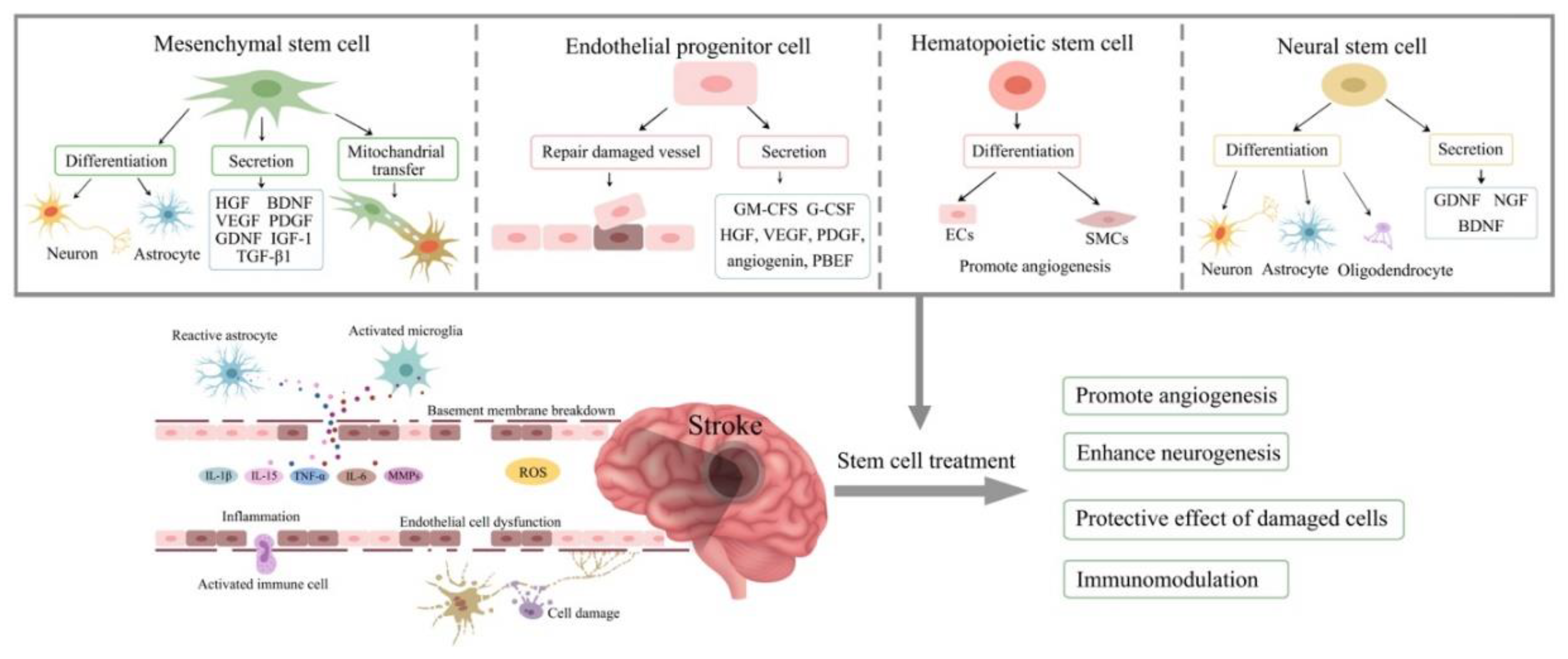 Preprints 93096 g001